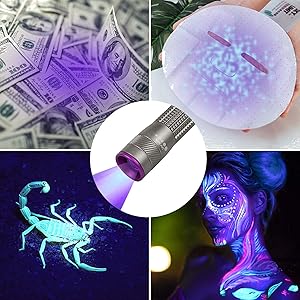 Aventik D Edison Design Power 395nm Zoomable Pen Light (1pc 395nm Black)