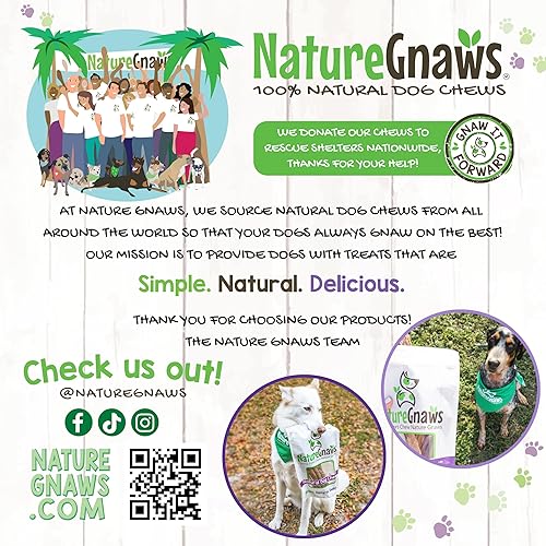 Miniatura 8 de Nature Gnaws Palitos grandes para perros de 5 a 6 pulgadas (15 unidades) – Gruesos de larga duración para masticadores agresivos y perros grandes