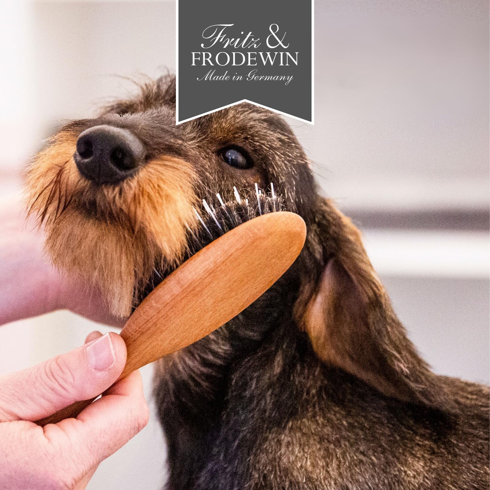 Fritz & Frodewin Hundebürsten-Set "Langhaar klein" | Premium Hundehaarbürsten | Fellbürsten | Für die tägliche Pflege | FSC zertifiziertes Holz | Gratis Bürstenreiniger | 100% Made in Germany