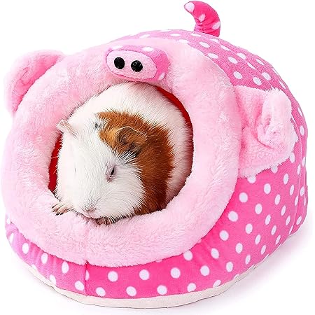 JanYoo Chinchilla Hedgehog Guinea Pig Bed Accessories Cage Toys Bearded Dragon House Hamster Supplies Habitat Ferret Rat