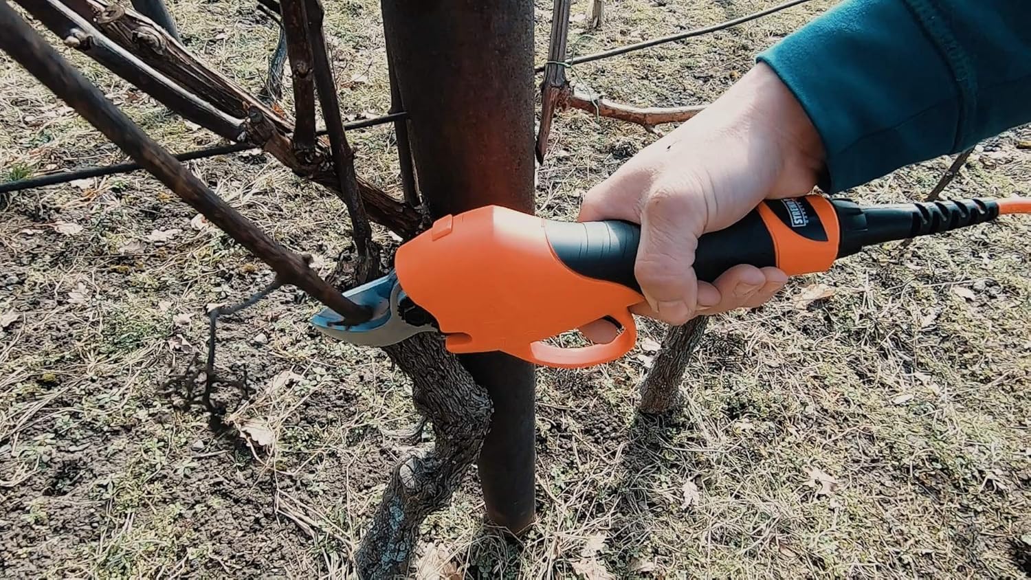 STREND PRO Elektrische gartenschere max 40mm Schnitte | Professional | 10 Stunden Batterie-Leben | Akku Gartenschere mit Koffer | 36V Li-Ion Batterie | Akku Astschere für Weinbergen/Gärten