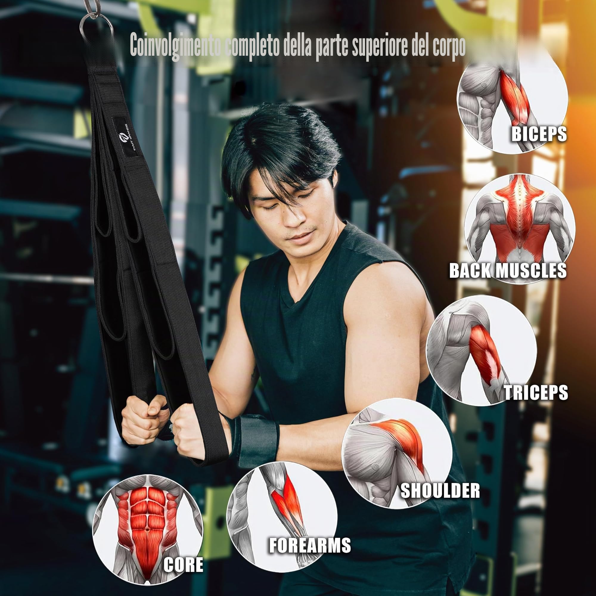 EVMT Ultimate - Corda per tricipiti da 33cm, 56cm, 74cm Attrezzatura Versatile per Allenamento della Forza, Accessori per Cavi robusti, Accessorio per Il Fissaggio LAT Pulldown di casa e Palestra