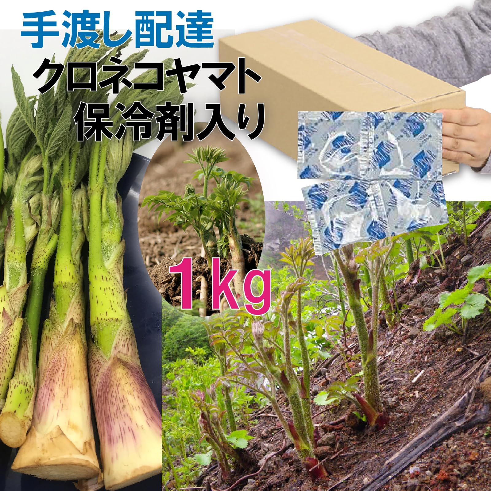 Amazon.co.jp: 【冷蔵でお届け】［新潟うおぬま産］豪雪地帯の 天然