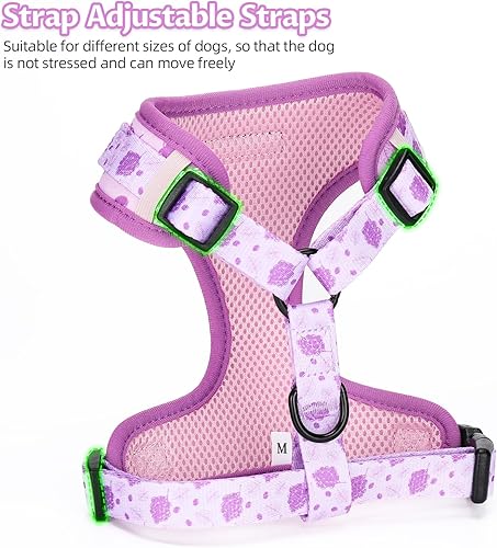Dog Harness and Leash Set, Adjustable Dog Harness, Dog Leash, No Pull No Choke Puppy Harnesses for Walking Training for Small, Medium Pet (Lemon, S(Chest 13-19", Neck 9.5-13.1"))(Wines,L(Chest 18.5 - 27.1"- Neck 14.5 - 20.1"))