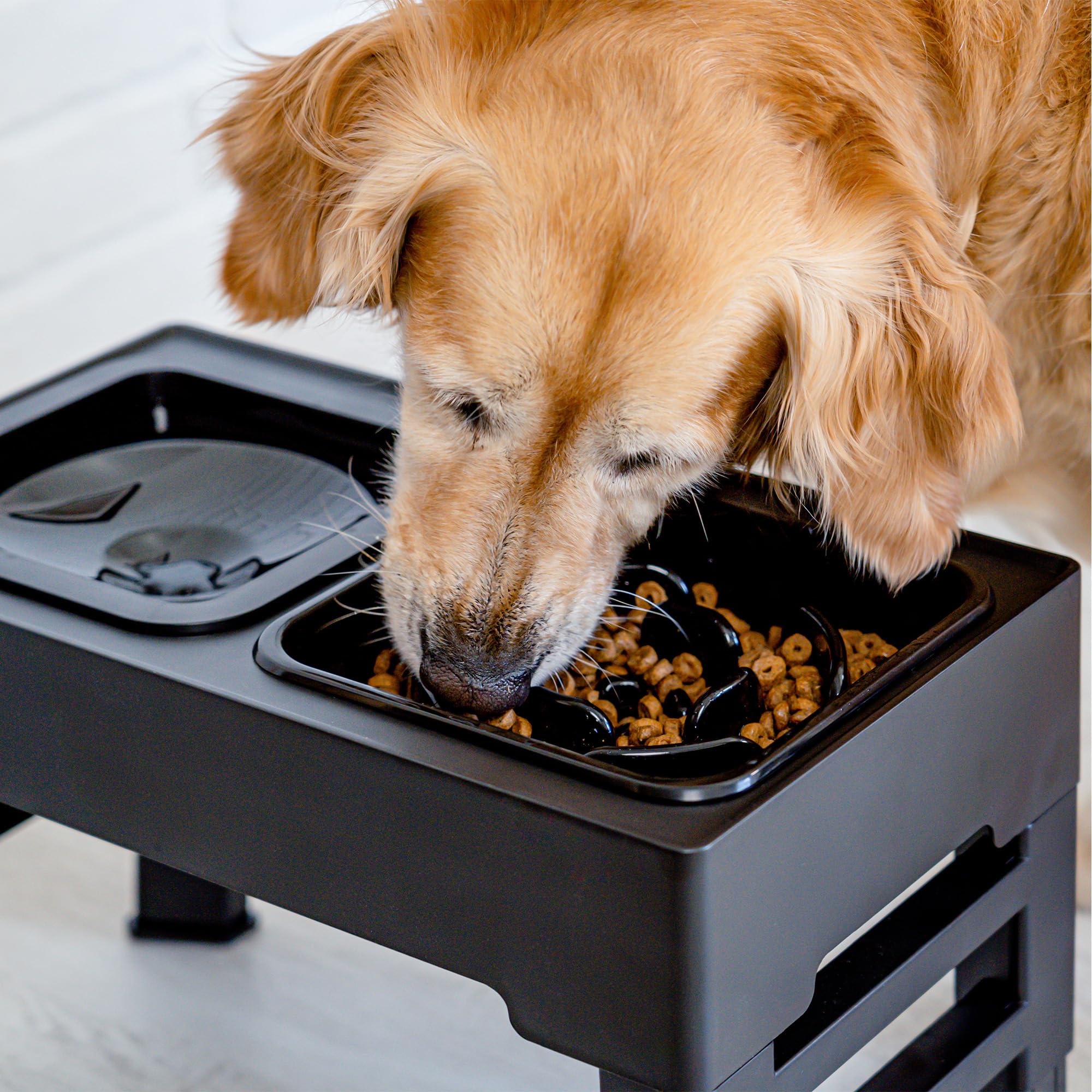 Empawrium Ciotole per Cani Rialzate, Ciotole per Cani Piccolo, Medio e Grande, Ciotola Anti Ingozzamento con Ciotola Acqua Cane Antigoccia 1600ML