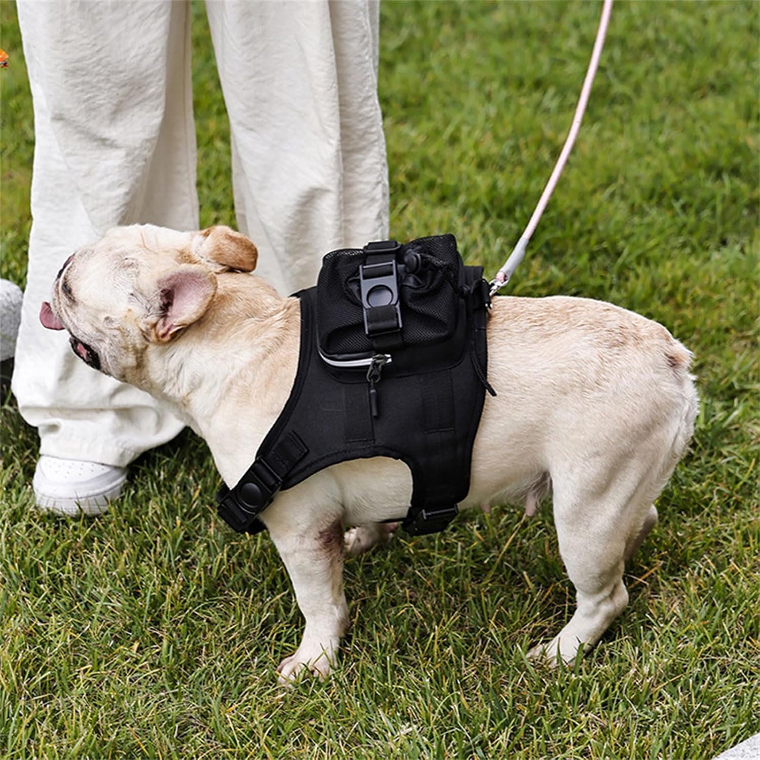 Dog Backpack Breathable Vest Pet Strong Training Walking Swimming Supplies Soft Handle Training Vest Comfortable Dog Harness
