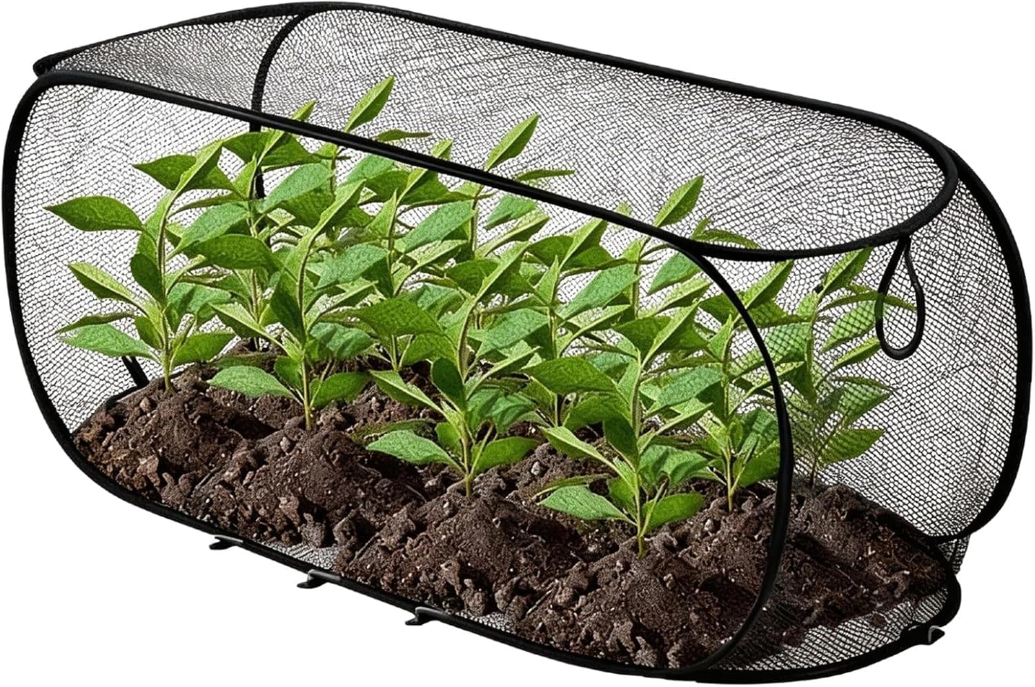 Pop-Up Garden Netting Fruit Cages for Allotment, Anti Bird Pop-Up Mesh Plant Protector Cover, Foldable Raised Bed Cover for Indoor Outdoor Greenhouse Patio Yard (Black,90 * 35 * 45)