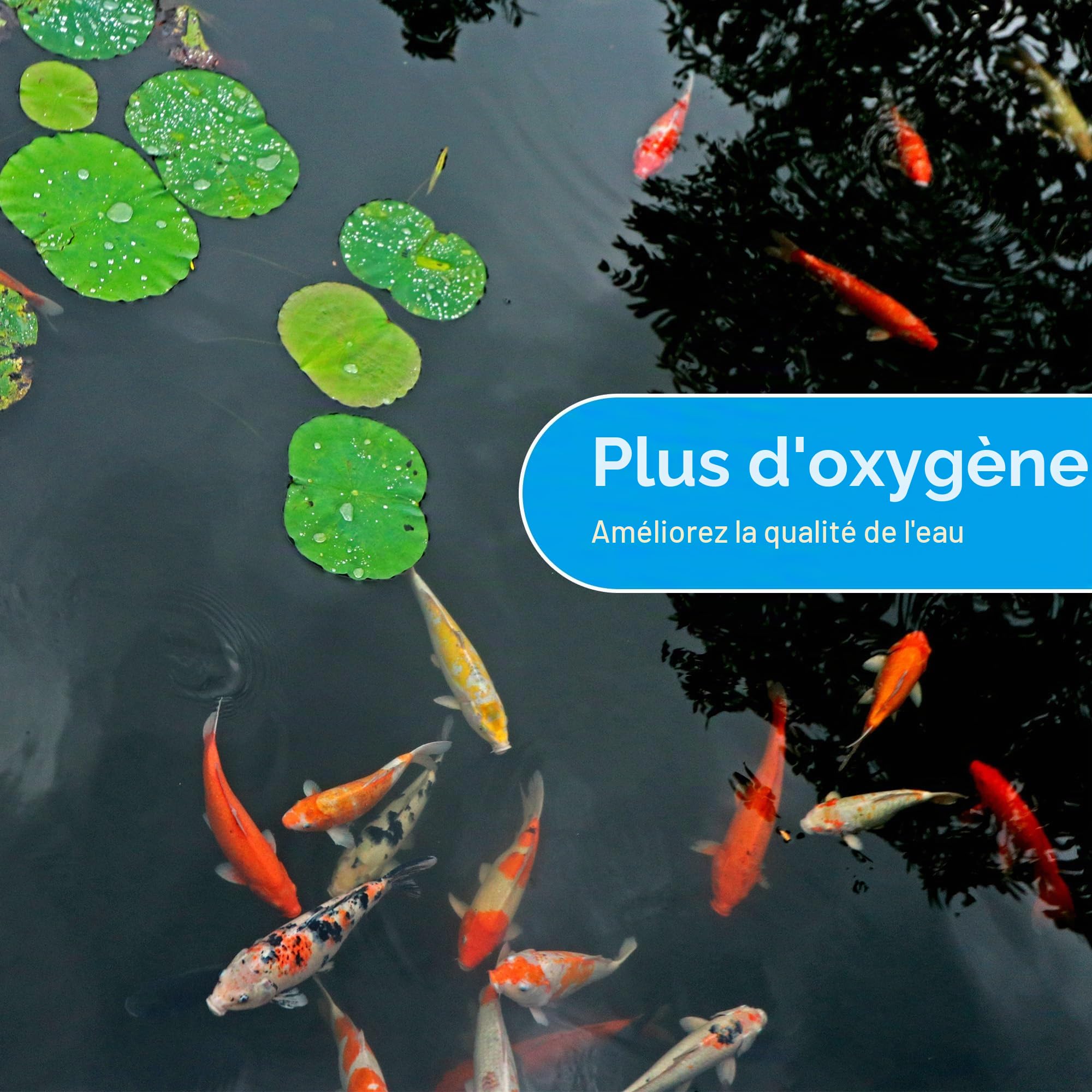 Biling Aérateur de bassin solaire - Pompe à oxygène avec batterie 2200 mAh - Panneau en verre de 2,5 W - Tuyau de 3 m - IPX5 - Silencieux - Pompe à air solaire pour étang de jardin, citerne d'eau de