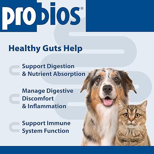 Miniatura 3 de Probios Probiocin - Gel oral para mascotas para perros y gatos, suplemento probiótico para apoyo digestivo e inmunológico, tubo de 0.51 onzas