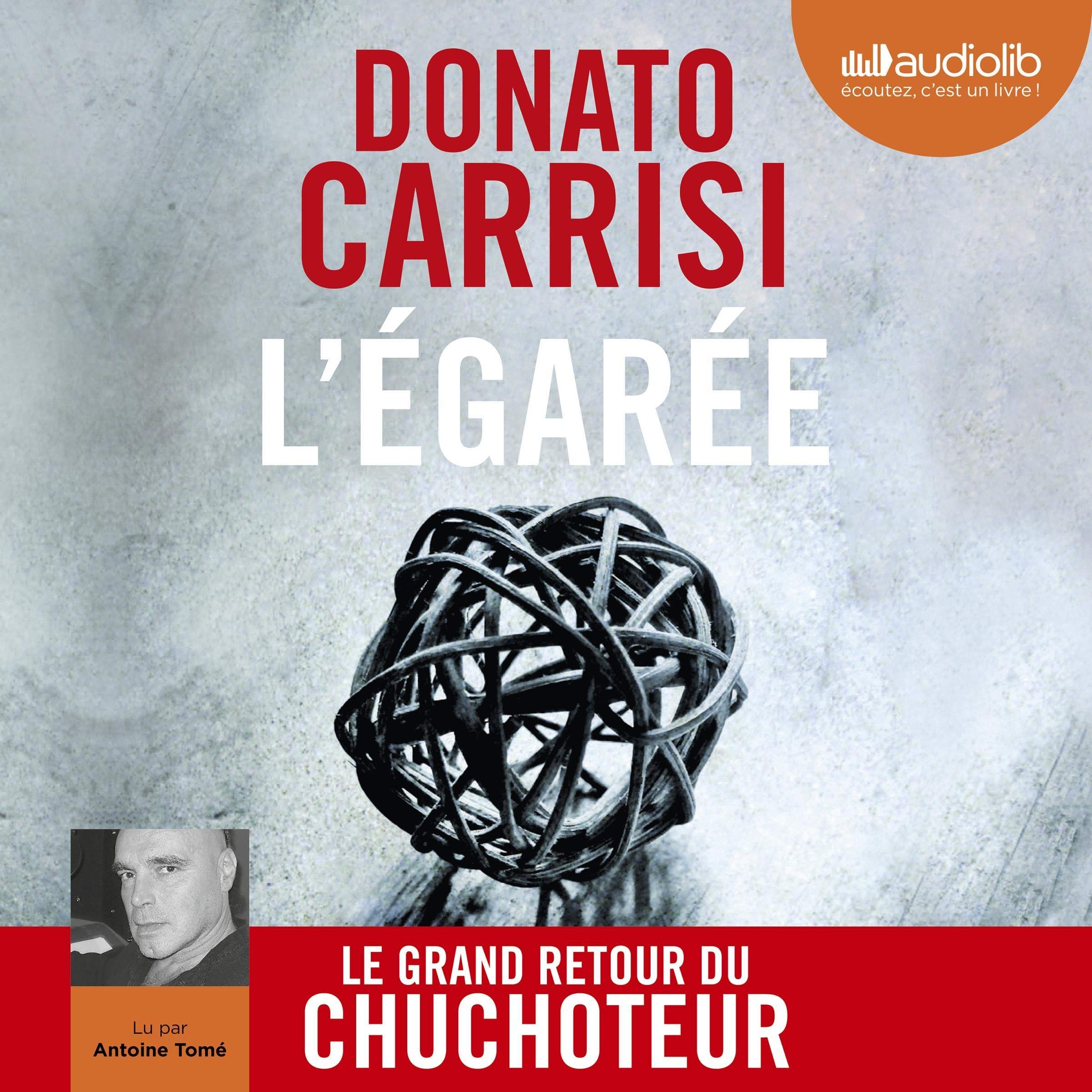 Cover art for L'Égarée