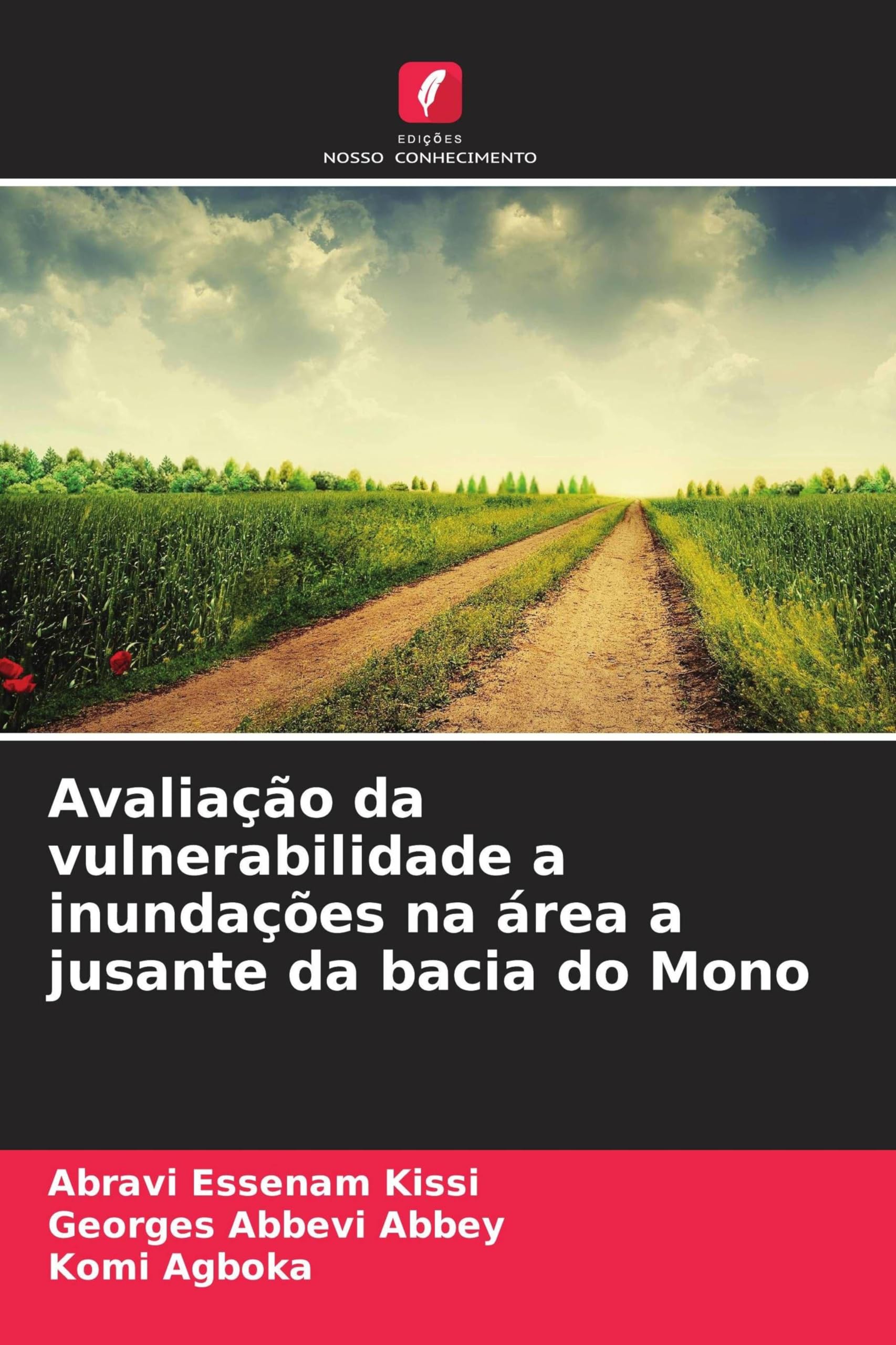 Avaliação da vulnerabilidade a inundações na área a jusante da bacia do Mono