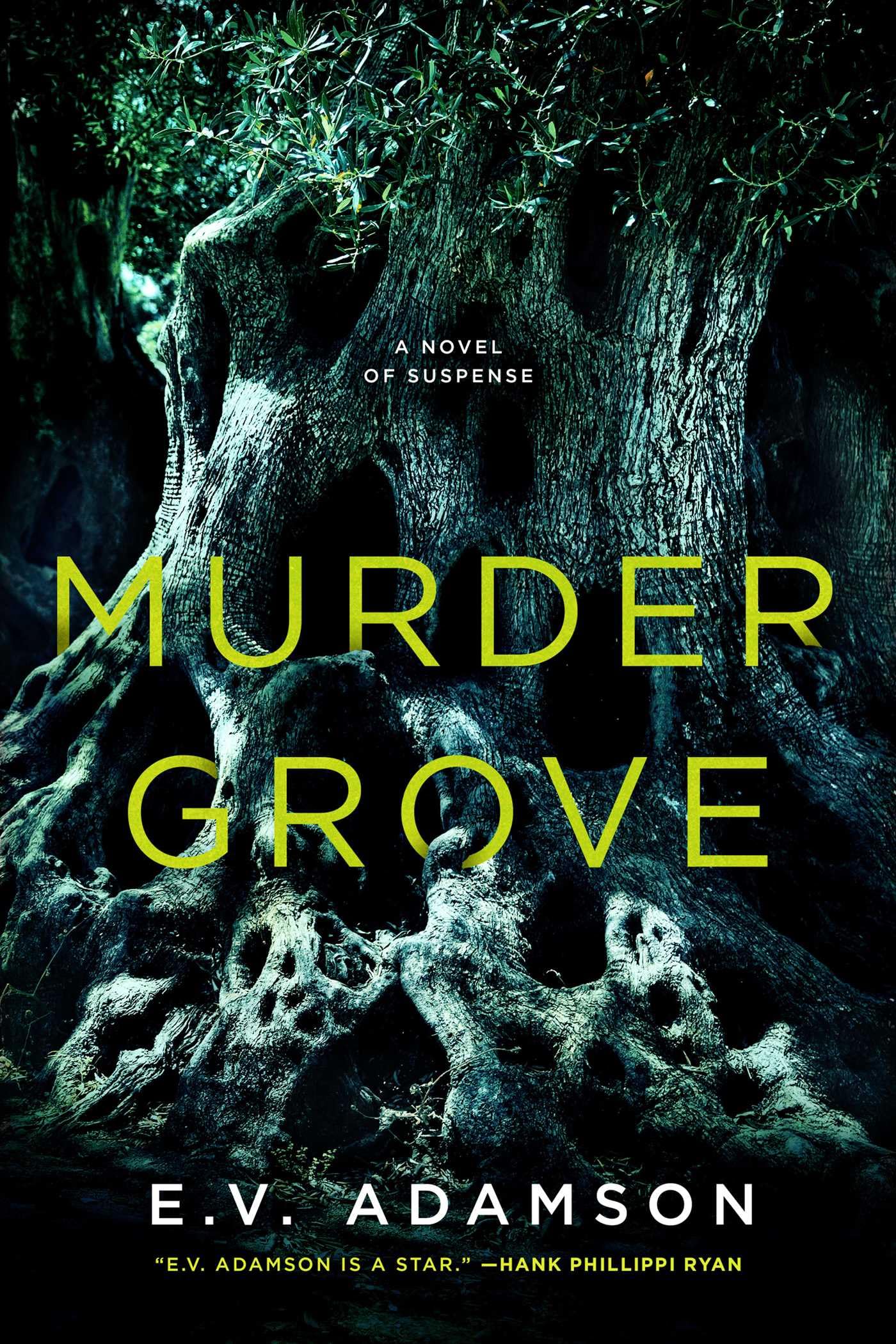 Buy Murder Grove — BookShops.in
