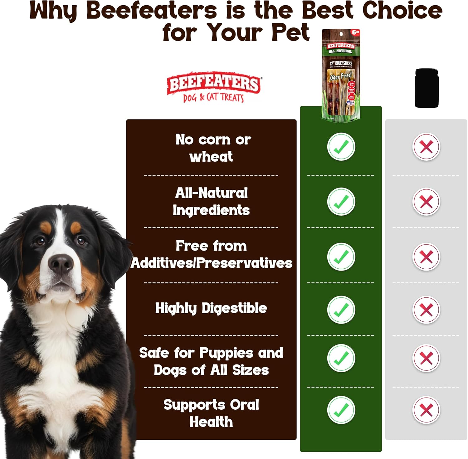 Beefeaters 12in Bully Sticks 6ct – All-Natural, Long-Lasting Dog Chews, Ideal for Large Dogs & Puppies, Promotes Oral Health, Digestible, No Additives, High Protein, Safe for Teething Puppies