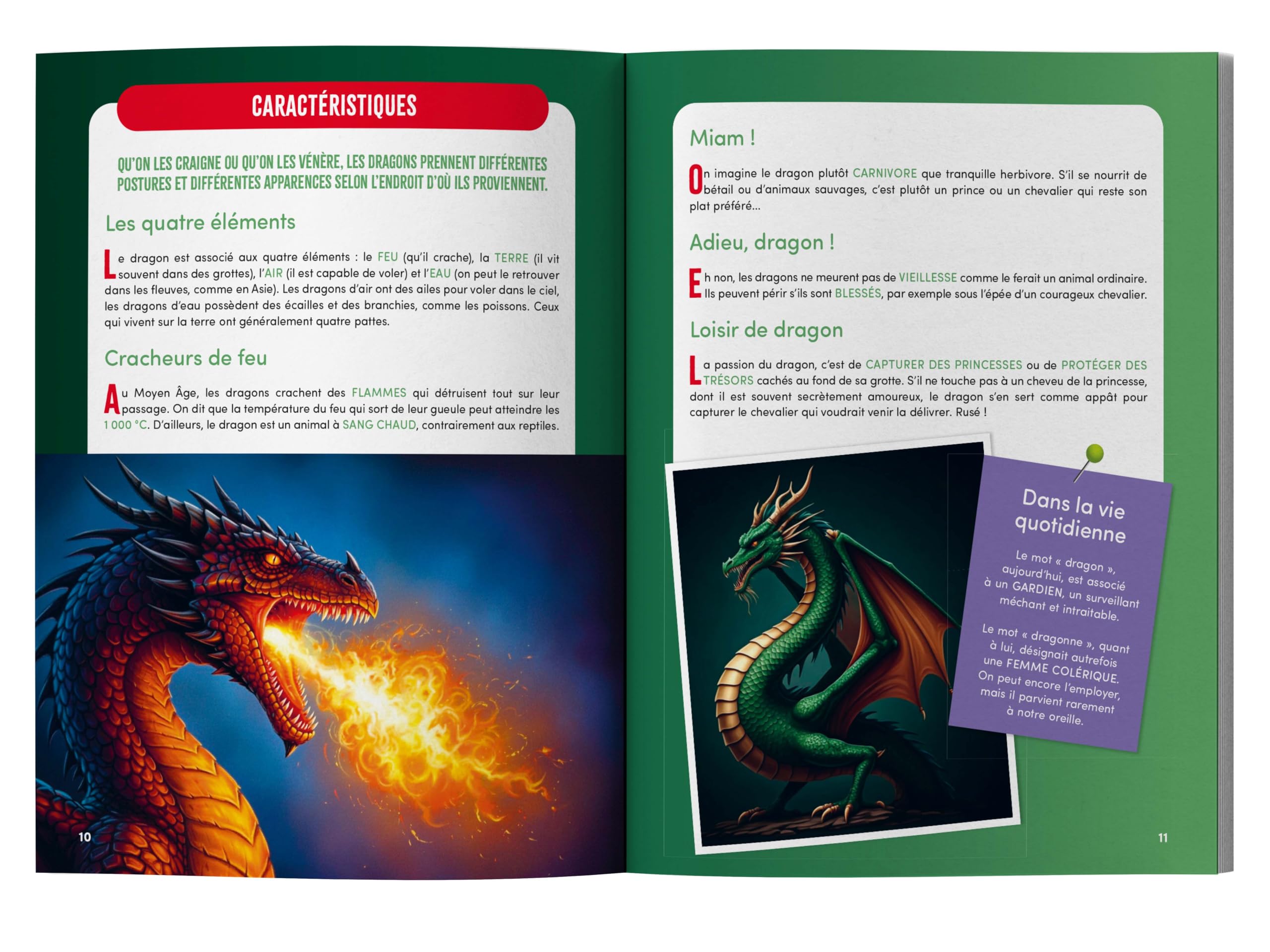 Mon grand livre des dragons: Origines, mythes et légendes