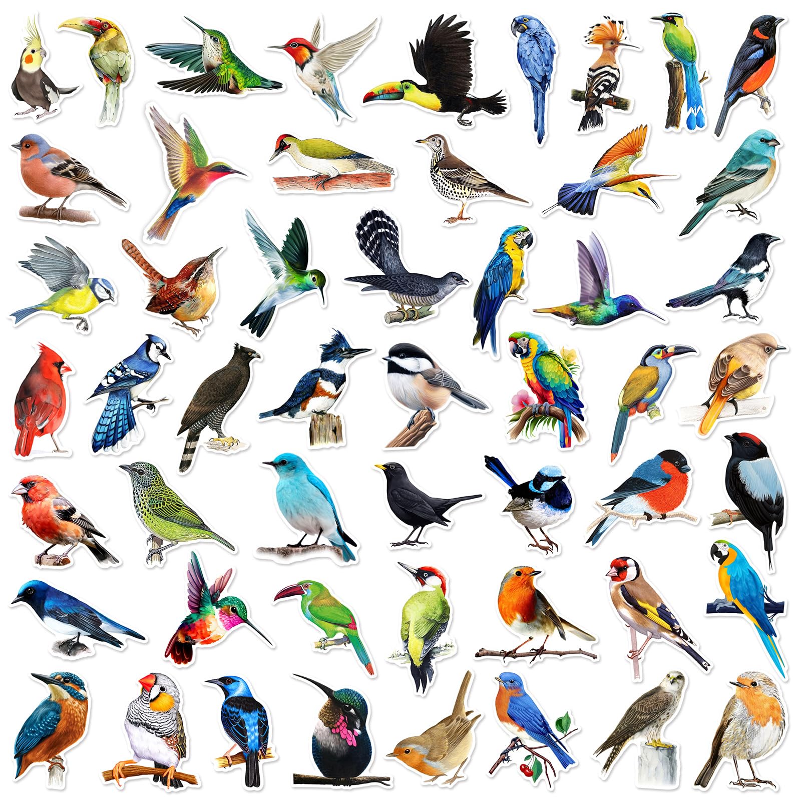 50PCS Watercolor Bird Stickers for Water Bottles Laptop Notebook Refrigerators Computer Phone Skateboard Luggage Journal Scrapbook Helmet,Cute Cartoon Birds Waterproof Decals for Adult Kids Teen - Image 2
