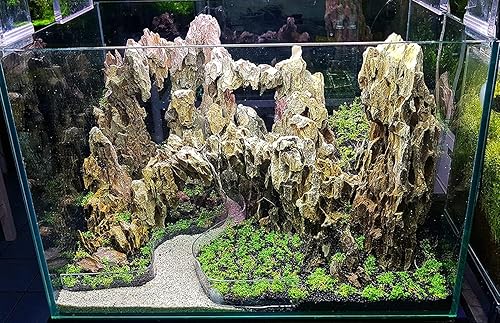 Miniatura 2 de H2Pro Decoración de acuario Dragon Rock (44 libras por caja), beige (DRA-1-017)