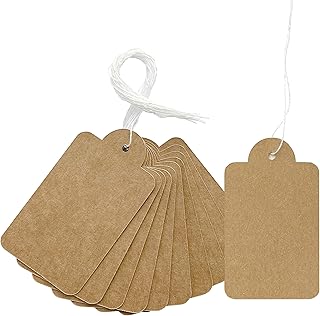 200Pcs Kraft Paper Tags, Kraft Paper Gift Tags Craft Hang Tags with Natural Twine, Blank Kraft Gift Tags for Crafts Holiday Gifts Arts 2.75 x 1.57 Inches