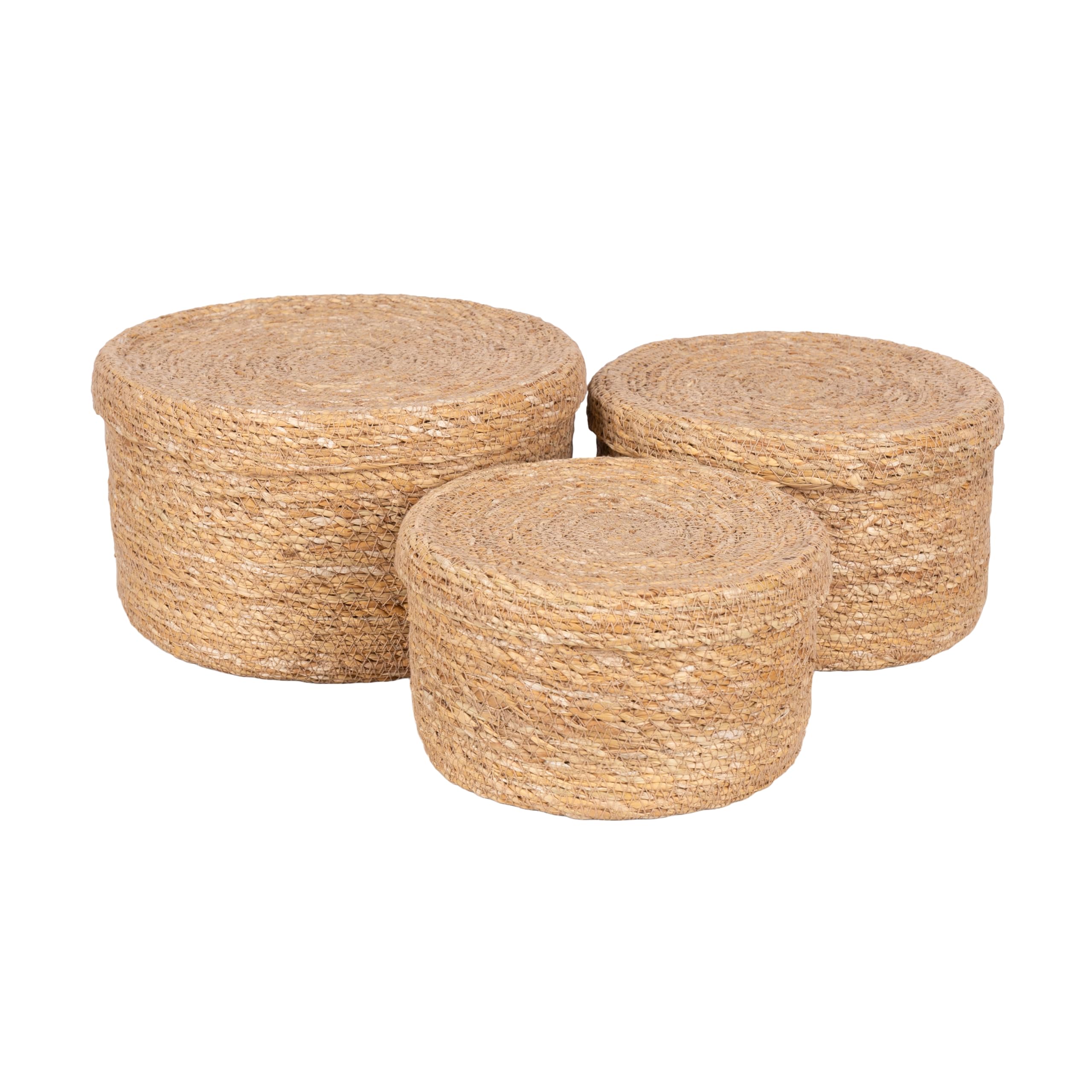 Olly & Rose Lot de 3 paniers de rangement en jonc de mer naturel avec couvercles – Durable 25, 22, 19 cm, décoration d'intérieur de qualité supérieure