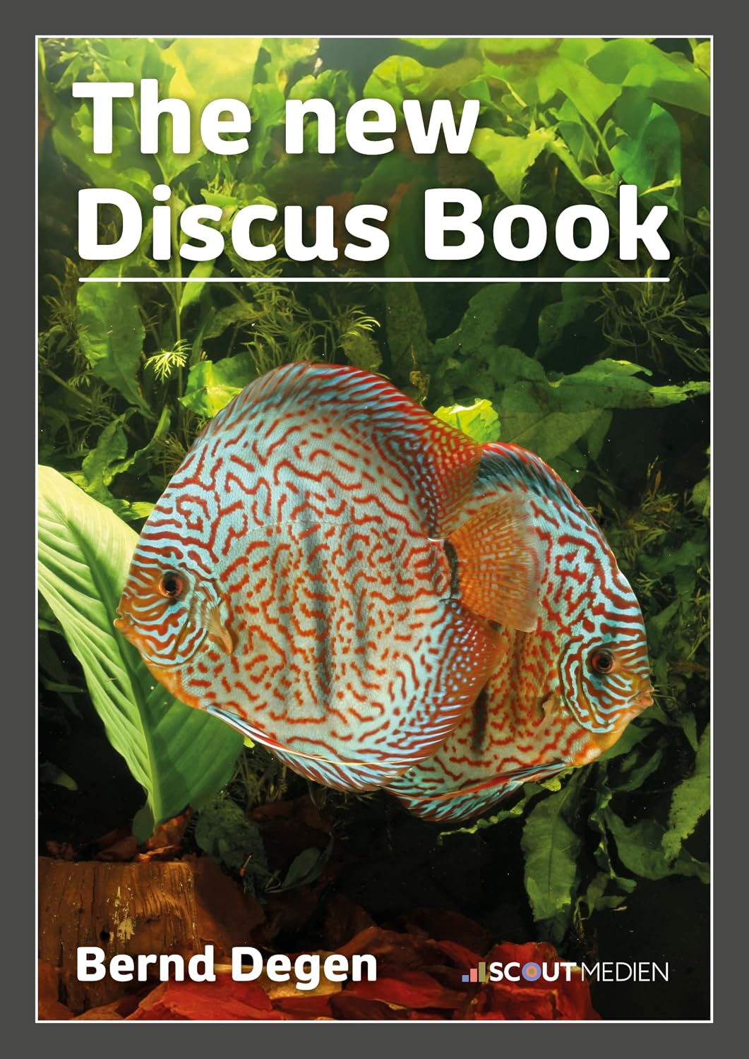 The new Discus Book
