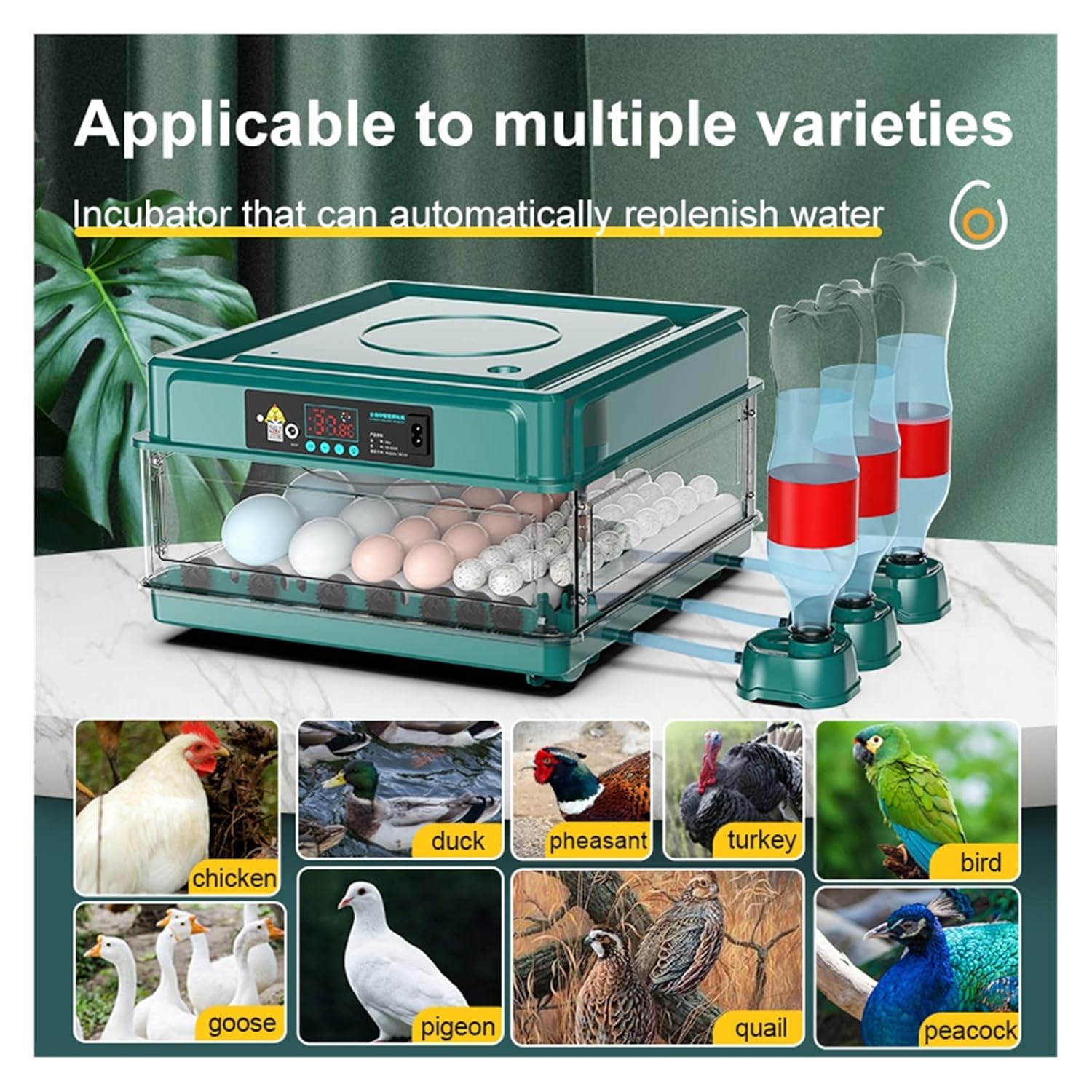 Incubadora de huevos para gallina, incubadora de huevos 9/15 con tipo cajón, mini incubadora de huevos con reposición automática de lecho de agua iónica y control de temperatura(9 huevos)