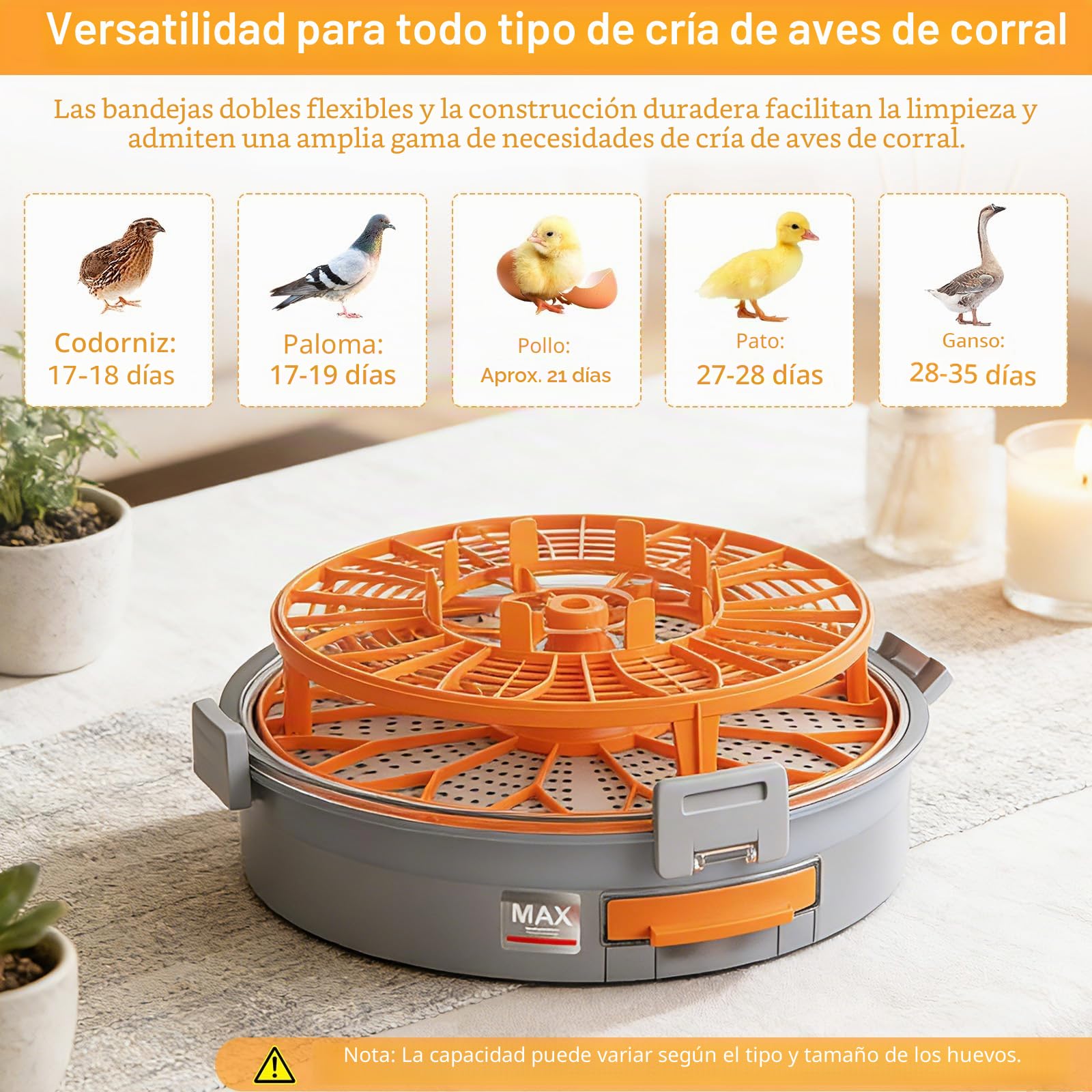 Incubadora Automática, Incubadora Totalmente Automática para 12/20 Huevos con Volteo Automático, Control Preciso de Temperatura y Humedad & Luz de Ovoscopio, Para Gallina Pato Ganso Paloma Codorniz
