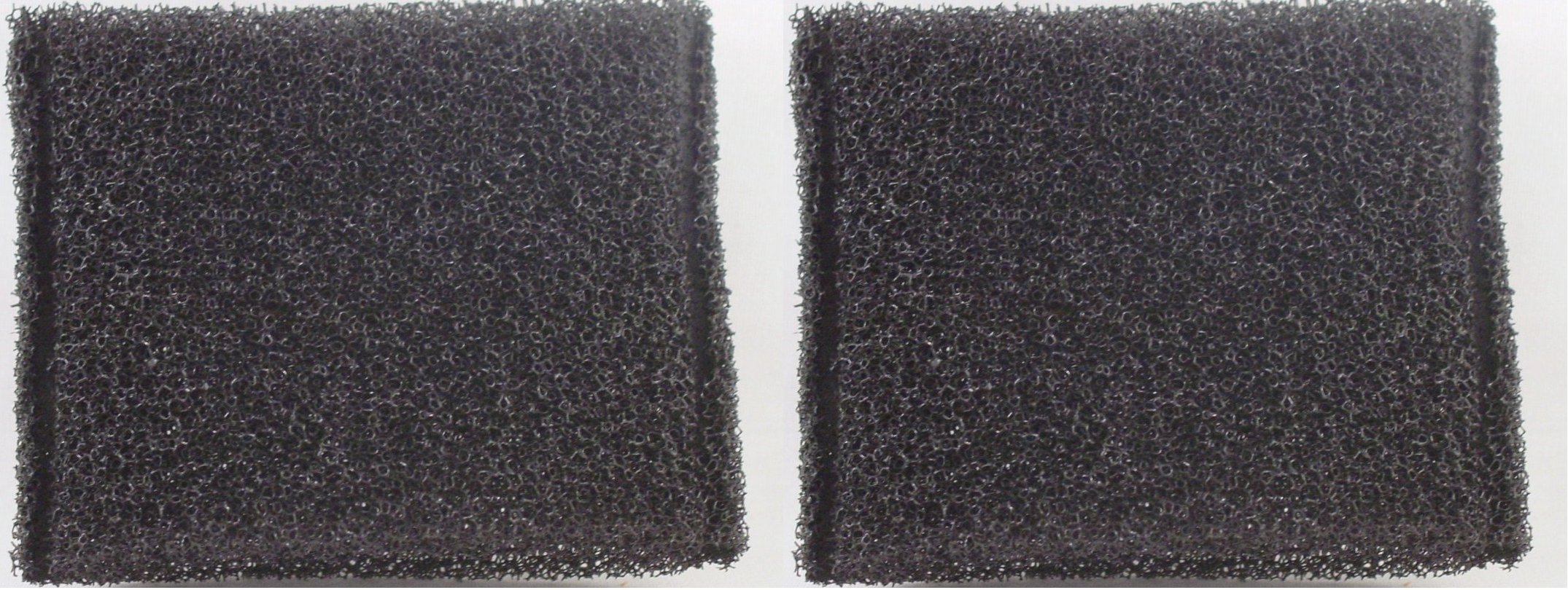 Hoover STEAM VAC Filter (2 Pack)