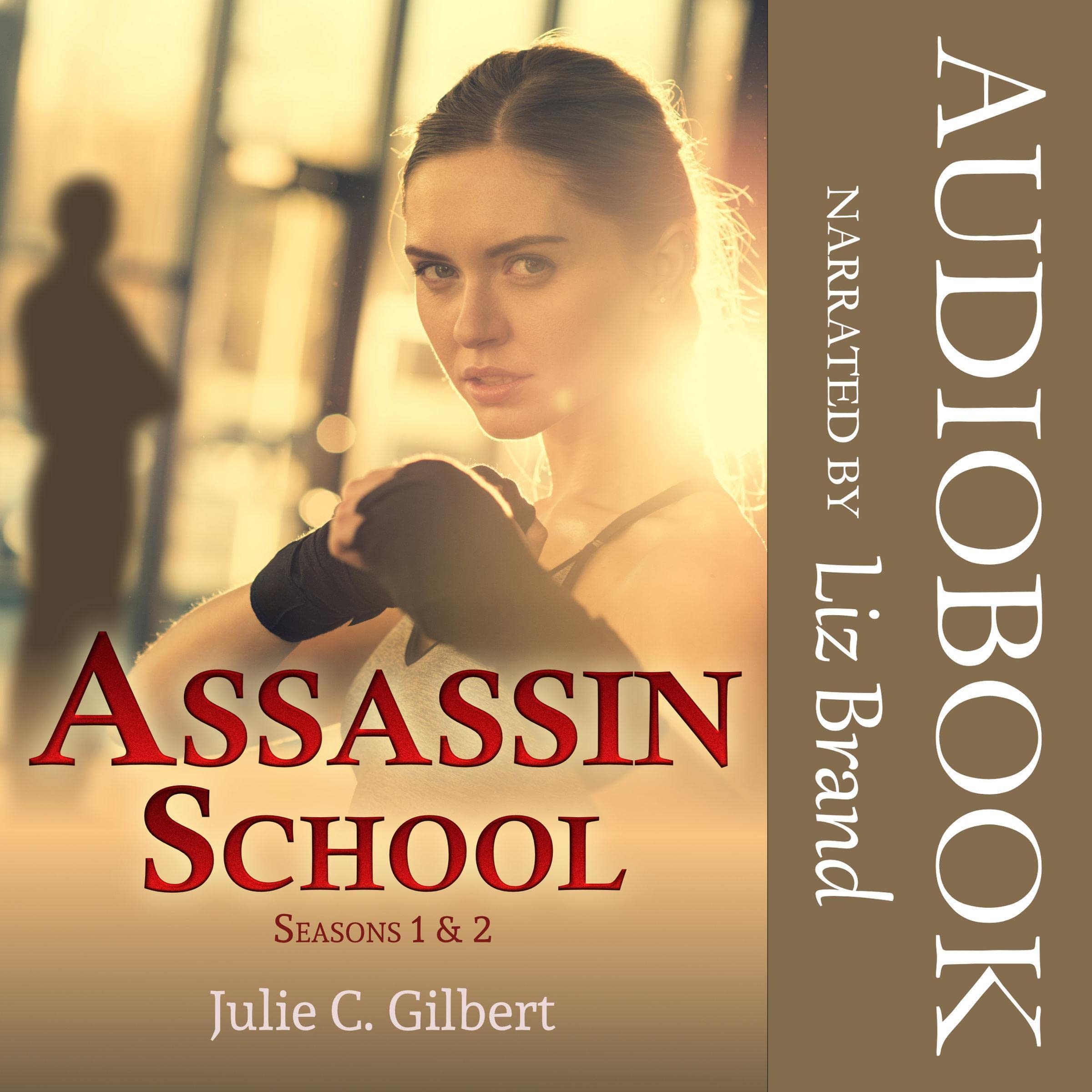 Cover art for Assassin School Seasons 1 and 2