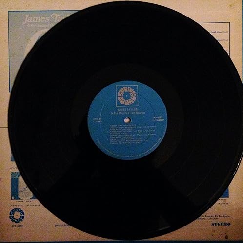 Miniatura 3 de James Taylor and the Original Flying Machine