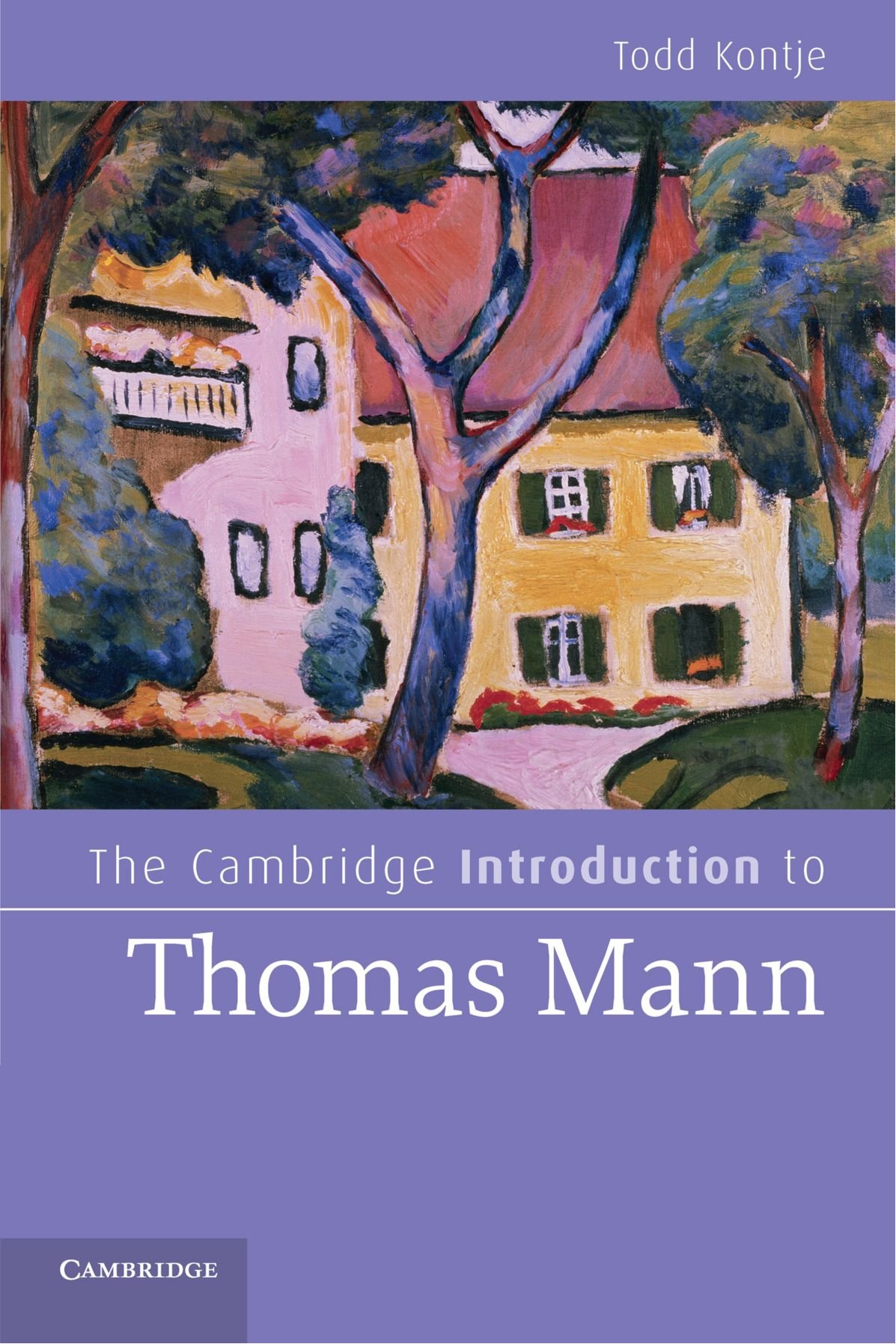 The Cambridge Introduction to Thomas Mann (Cambridge Introductions to Literature)