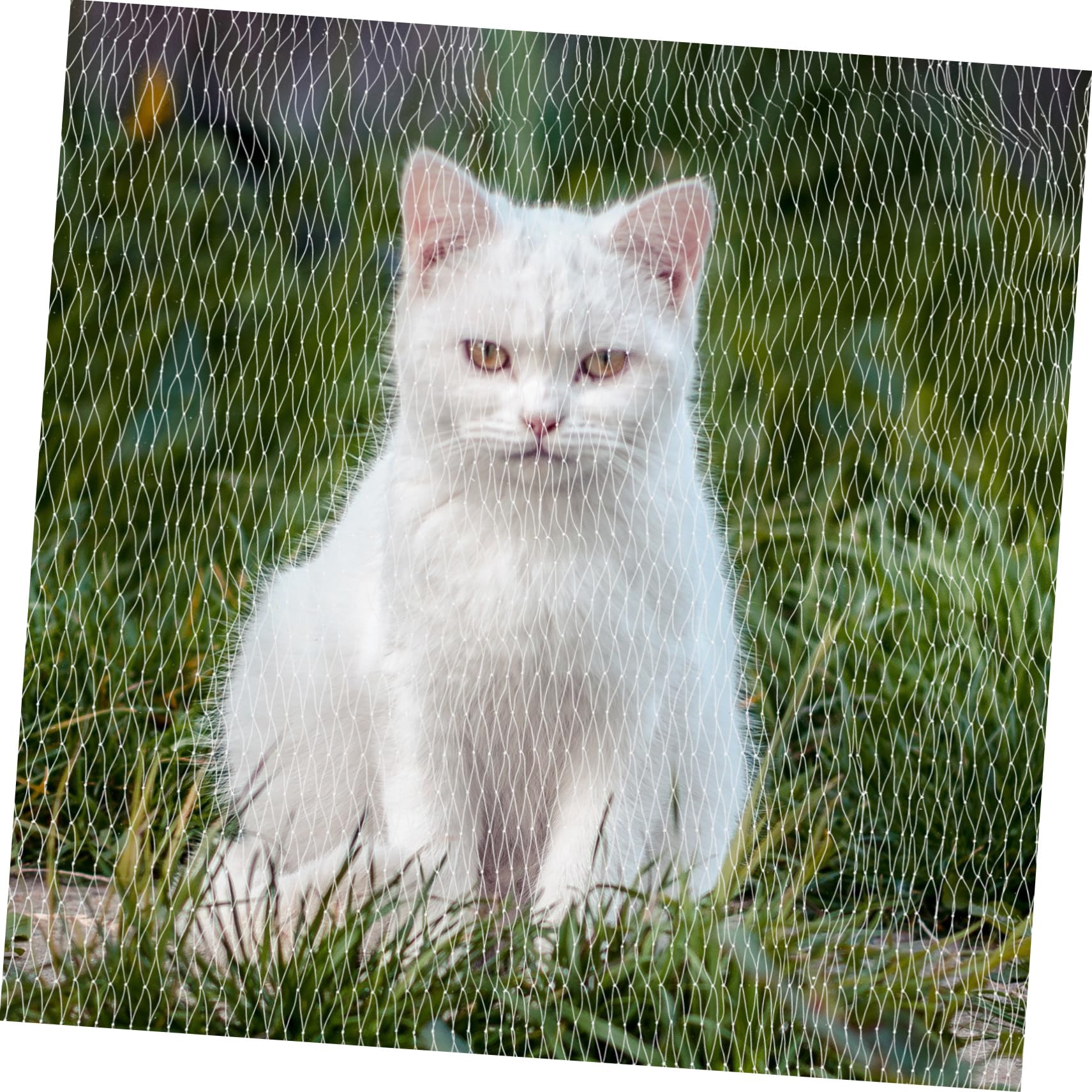iplusmile Katzennetz für Balkon und Fenster Sicherheitsnetz aus Nylon Absturzsicherung für Haustiere Kletternetz für Katzen ohne Bohren Schnell Montiert Engmaschig für Terrasse und Dach
