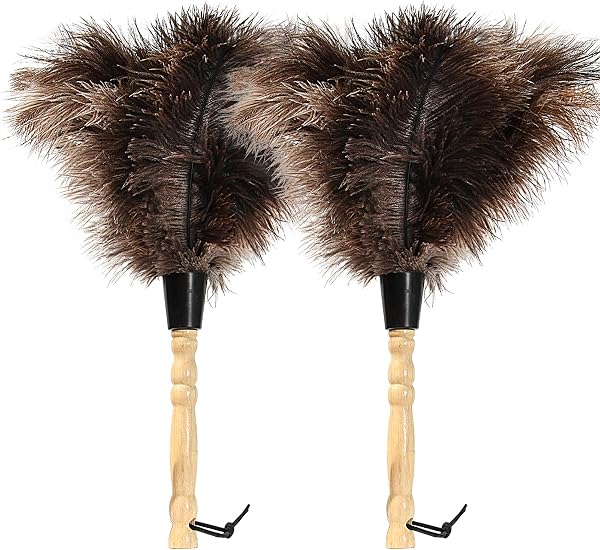 Ostrich Feather Duster 14in with Wooden Handle