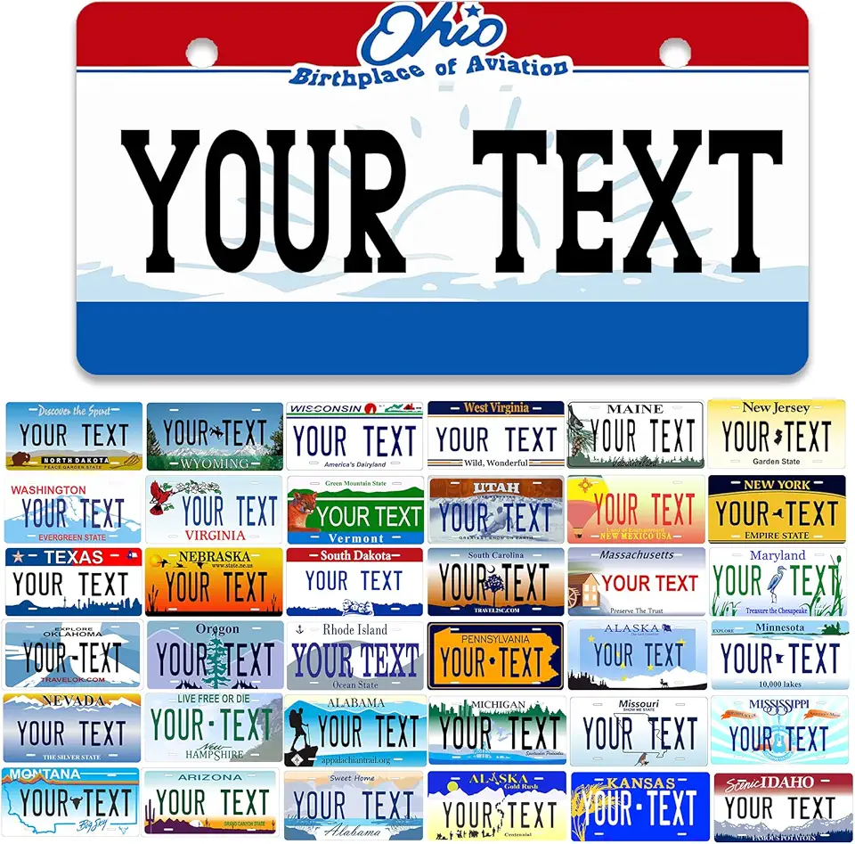 50 States Personalized Mini License Plate 4x2/7x4/12x6 Inch...