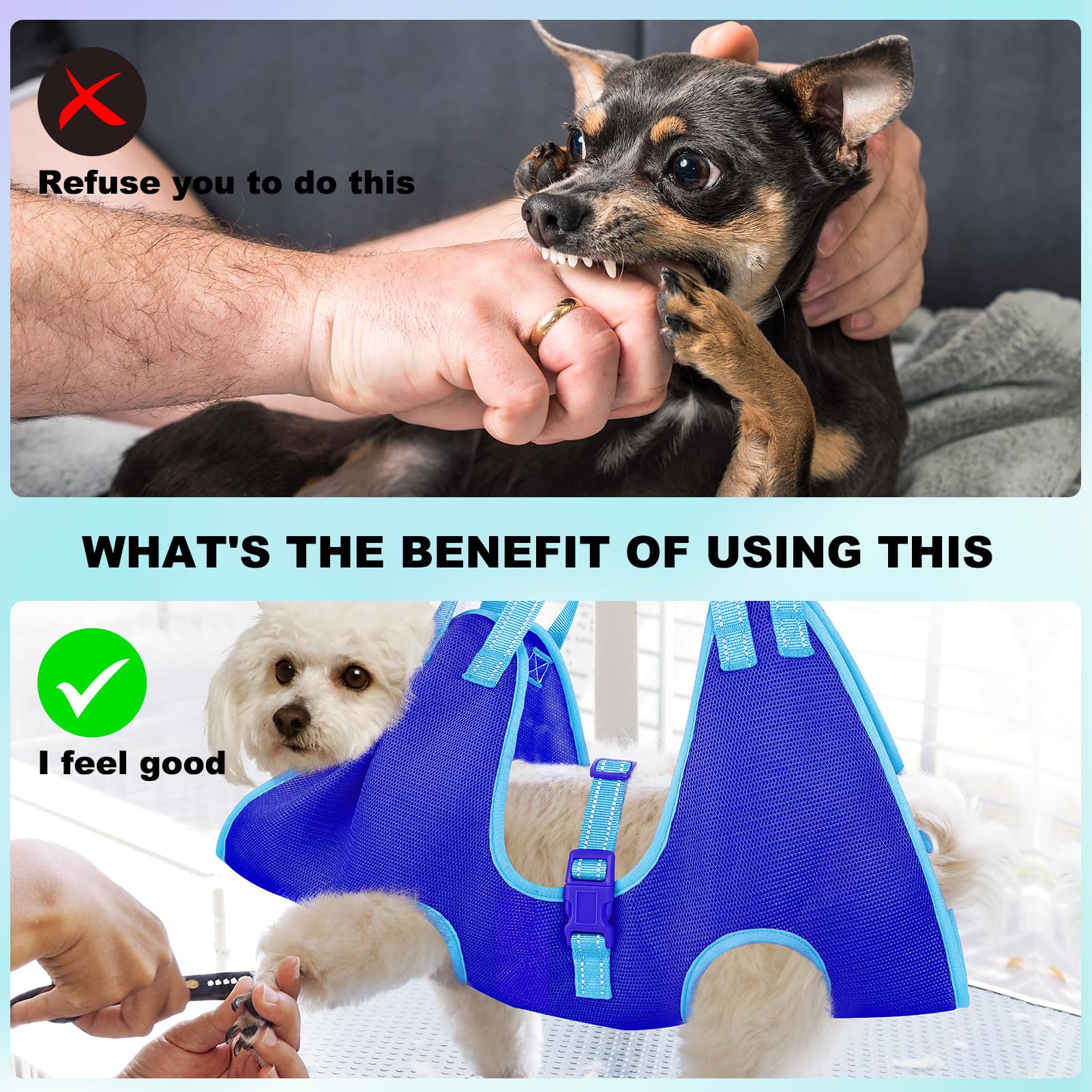 Read Your Dog’s Stress Signals