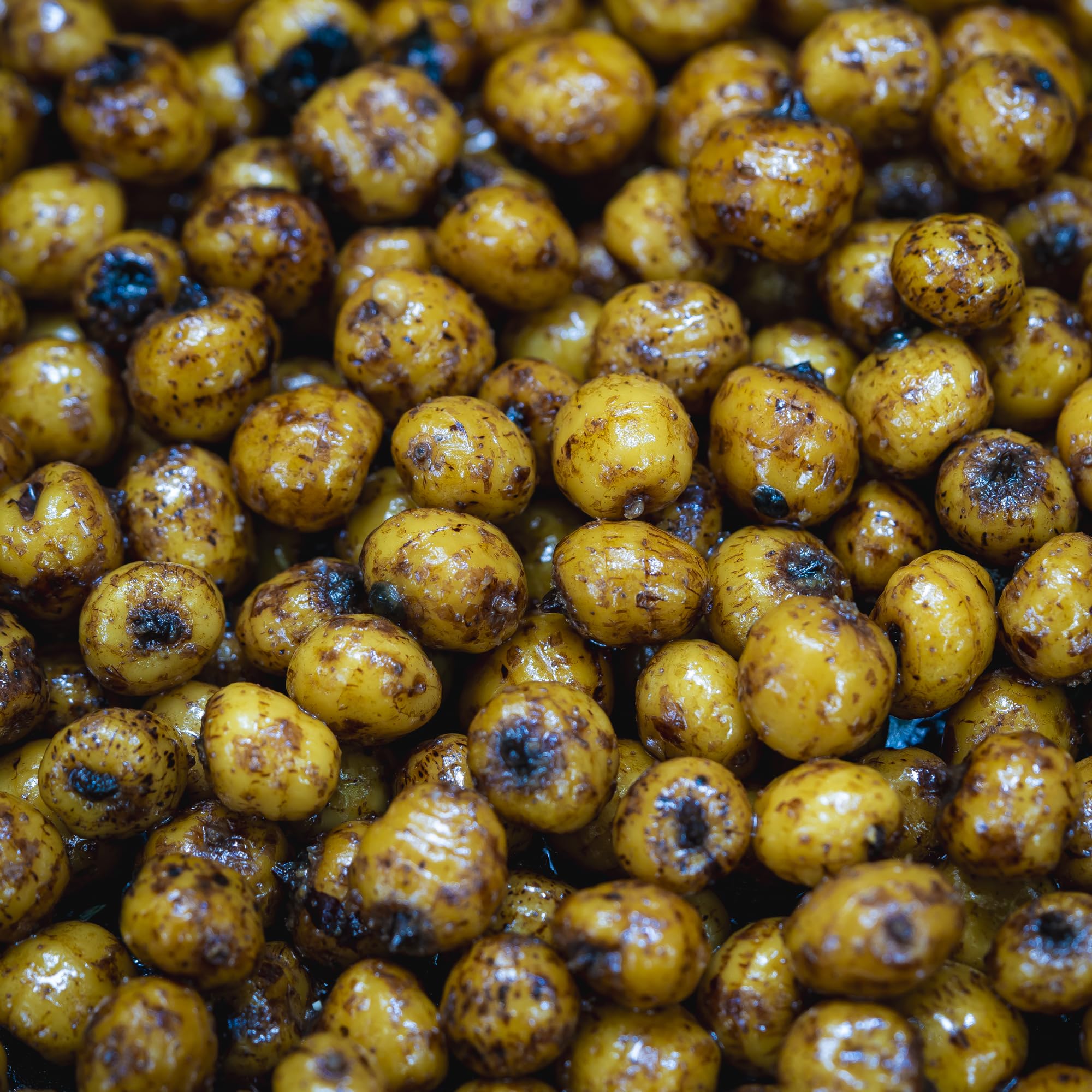 Prepared Tiger Nuts for Carp Fishing 5KG, Premium Ready-to-Use Bait - FREEZER BAIT