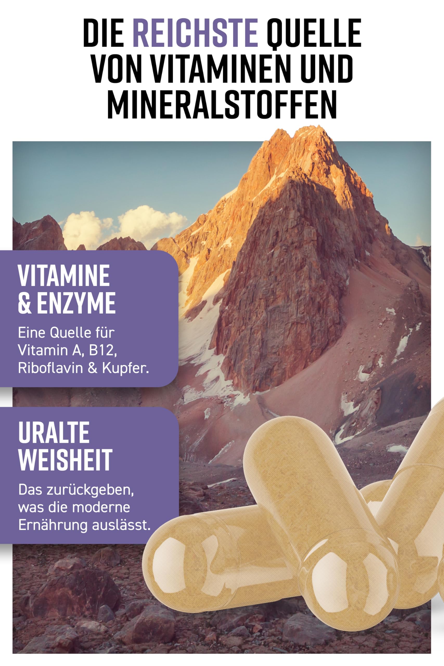Hunter & Gather Lammleber 90 Kapseln | Ernähungsergänzung aus freilebenden, grasgefüttertem isländischen Lamm | 100% rohe gefriergetrocknete Lammleber | Keine GMV-Fütterung, Antibiotika oder Hormone