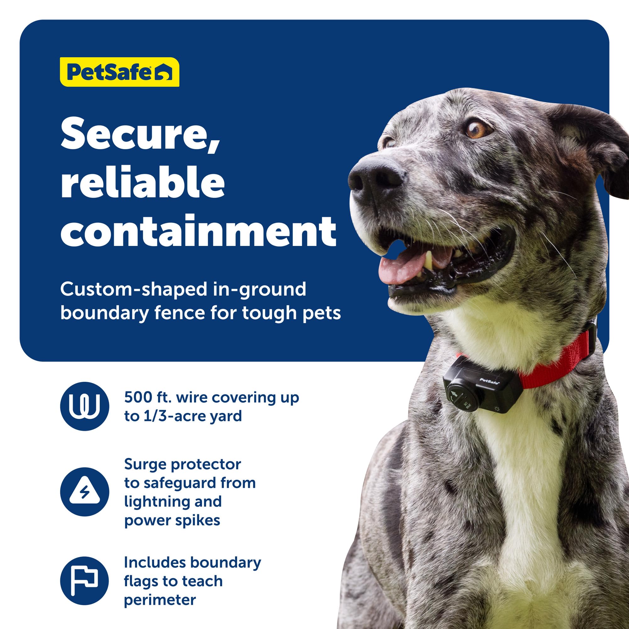 Amazon.com : PetSafe In-Ground Pet Fence for Dogs and Cats Over 8