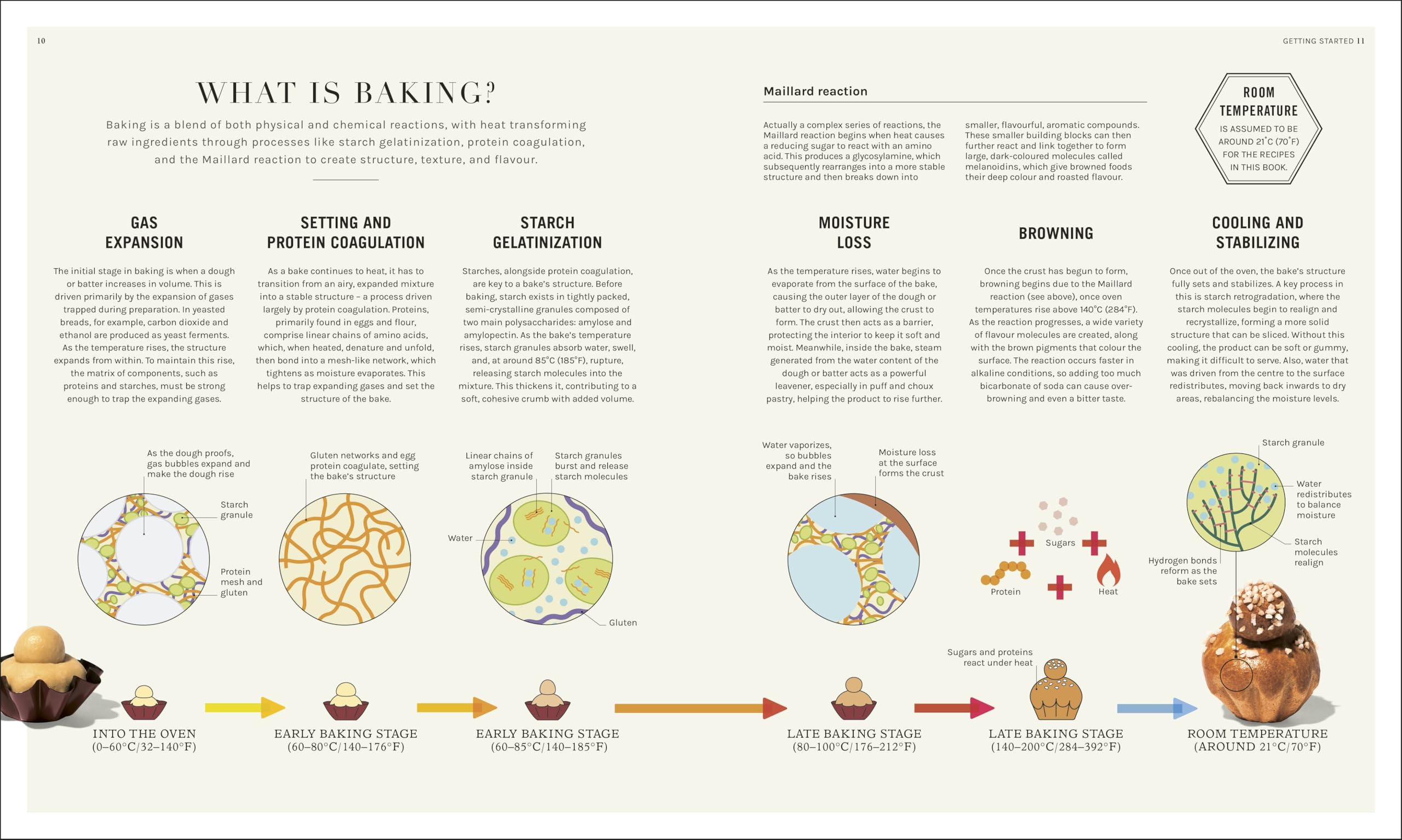 The Science of Baking: Everything You Need to Know to Create Perfect Sweet and Savoury Bakes, Every Time (The Science of Food)