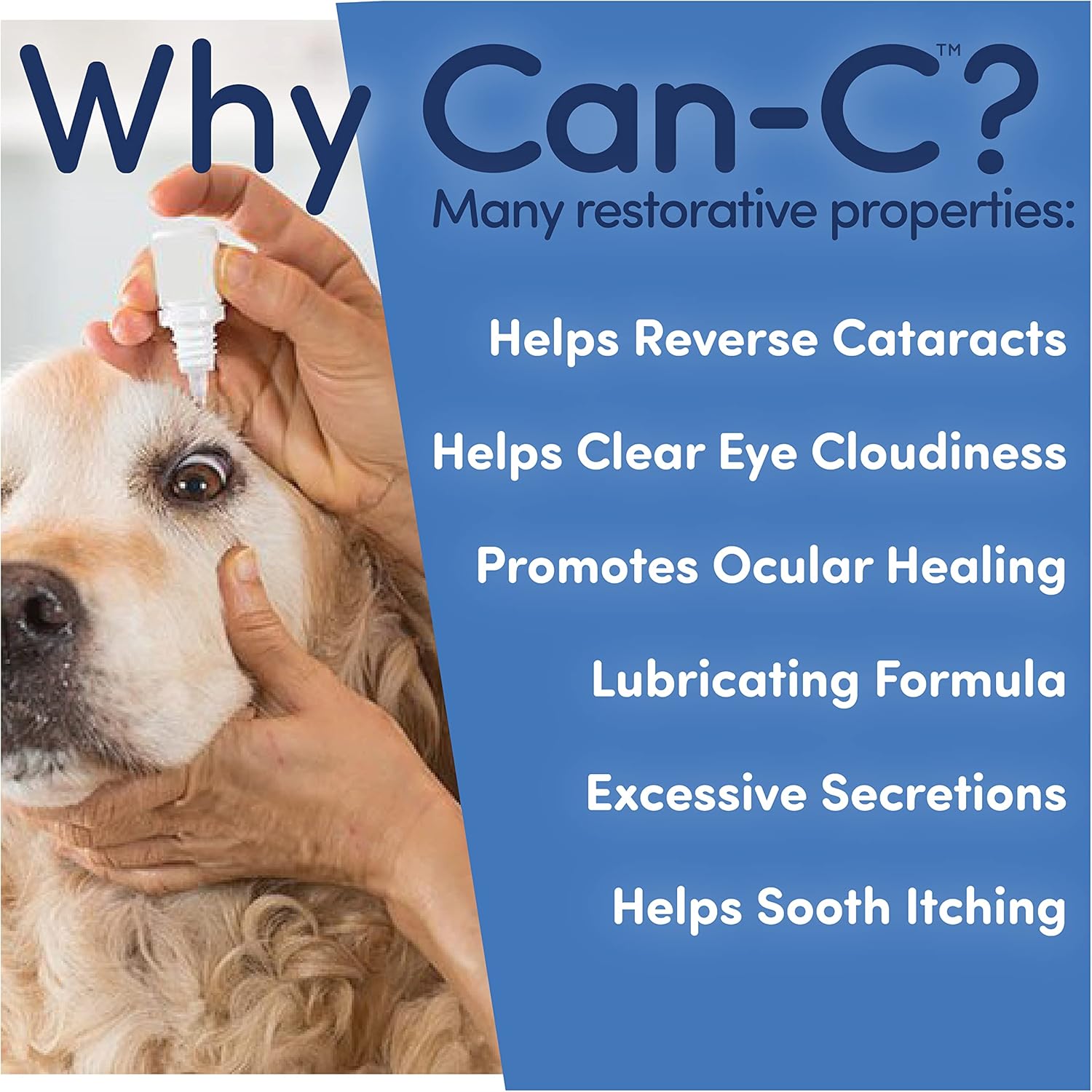 Buy قطرات عين الكلب CanC قطرات عين إعتام عدسة العين مع N