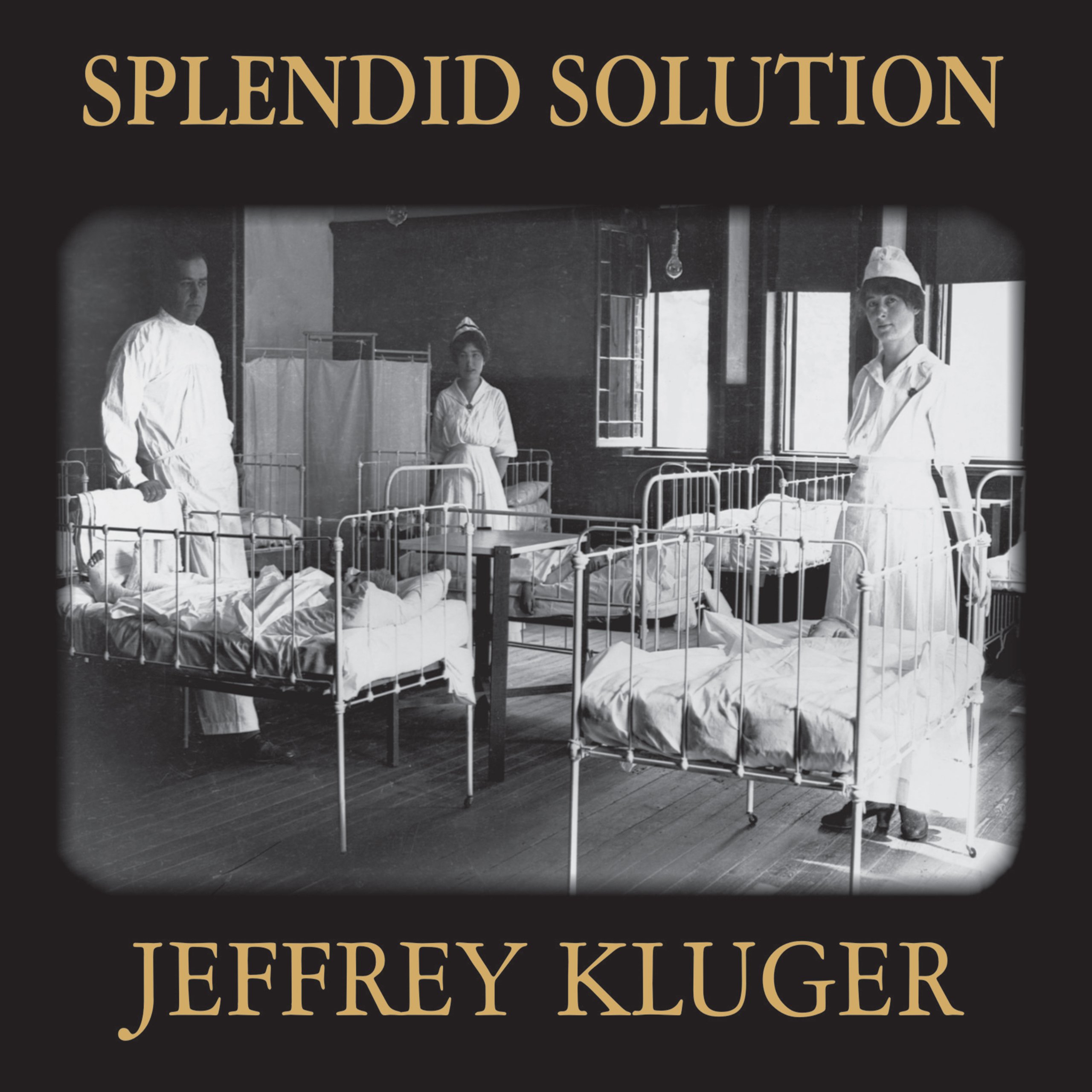 Cover art for Splendid Solution