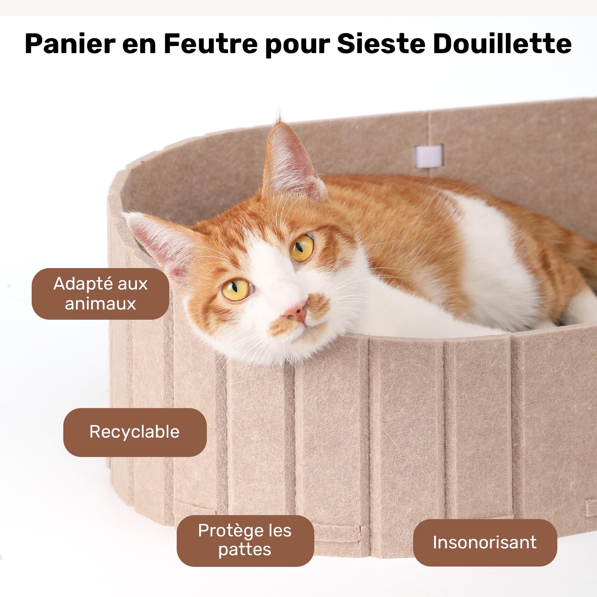 FUKUMARU Griffoir pour Chat, 61 cm de Long en Forme de Canapé, Grattoir Détachable Réversible, Pads de Griffoir Ronds Remplaçables, Lit d'Intérieur, Camel