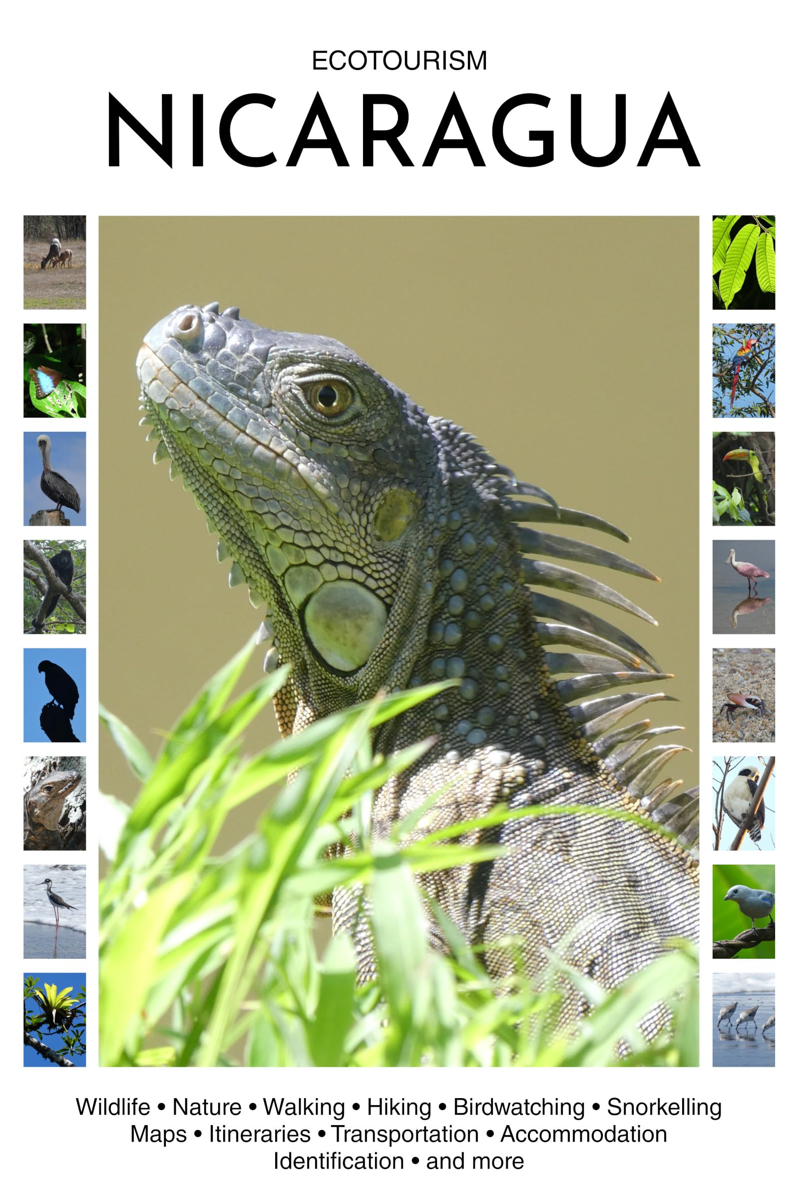 Ecotourism Nicaragua: Wildlife, Nature, Walking, Hiking, Birdwatching, Snorkelling, Maps, Itineraries, Transportation, Accommodation, Identification and more (Ecotourism Guides)