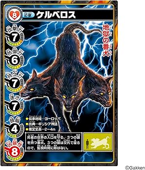 ケルベロス 81Ifm891zSL._AC_UF350,