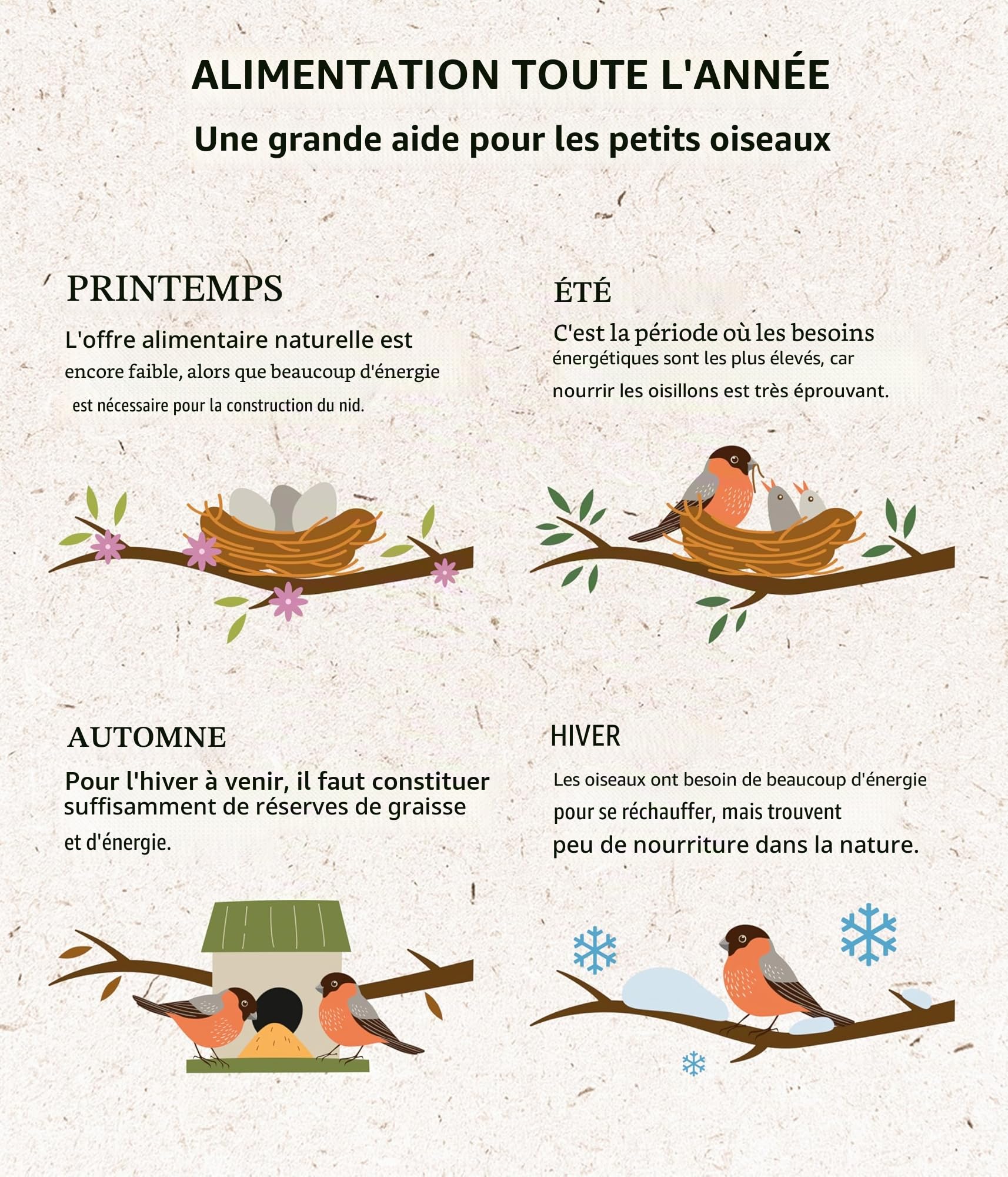 Dehner Natura Premium Nourriture pour Oiseaux Sauvages, arachides concassées, 3,4 kg