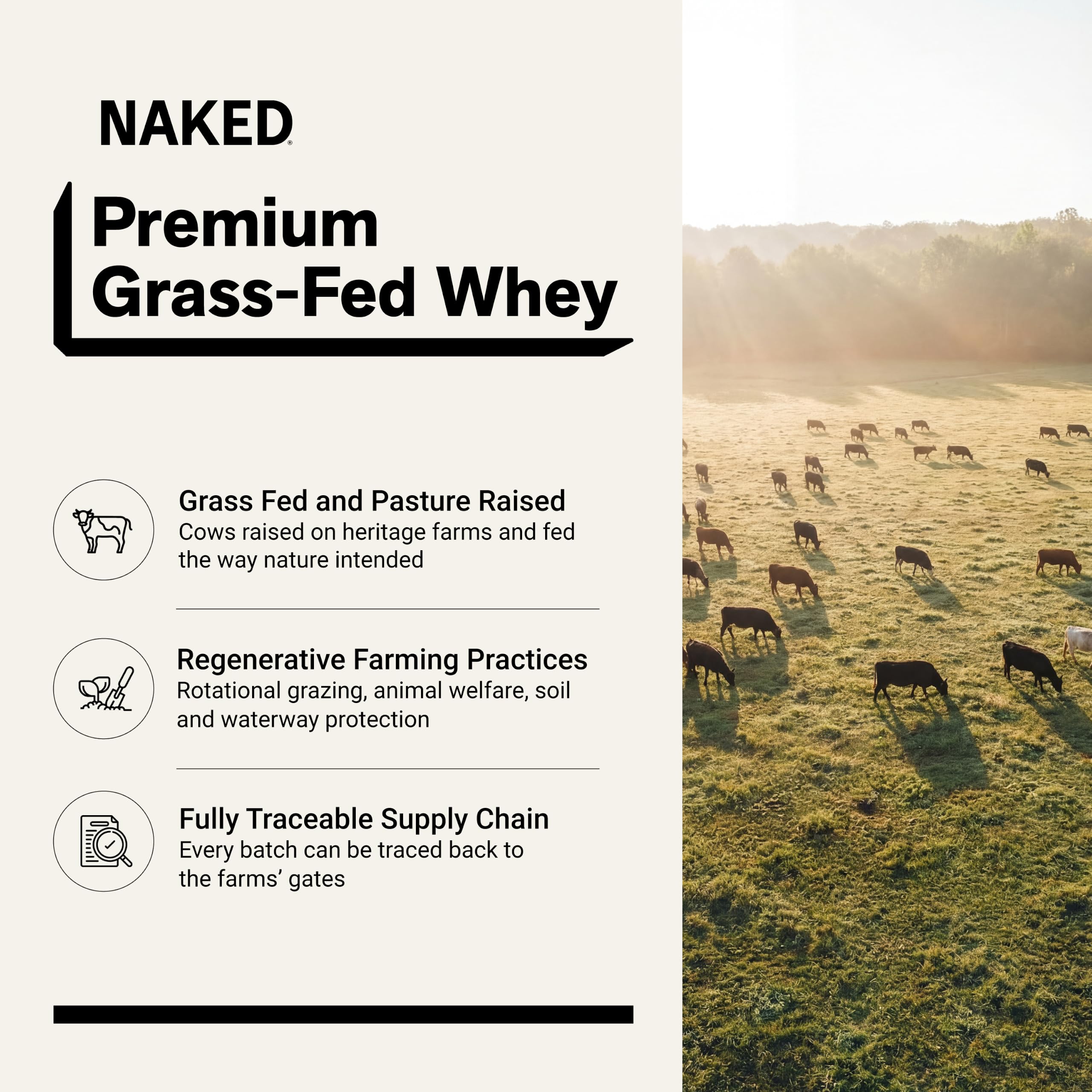 NAKED Chocolate Whey 1LB - All Natural Grass Fed Whey Protein Powder, Organic Cacao, and Coconut Sugar - NSF Certified, No GMO, No Soy, and Gluten Free, Aid Growth and Recovery - 12 Servings — Amazon image 2
