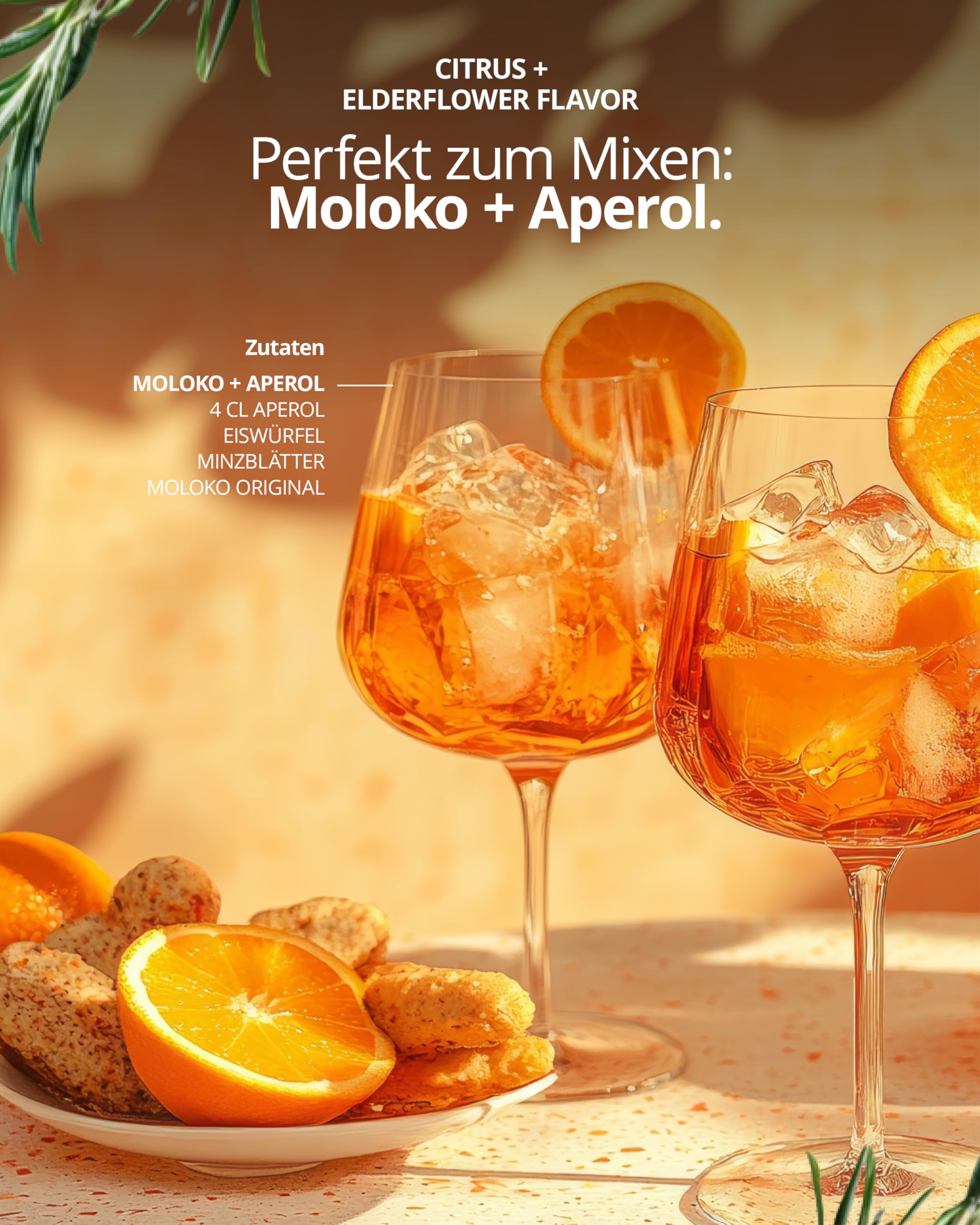 Moloko Softdrink Refresh your Mind, 24er Pack, EINWEG (24 x 250 ml)