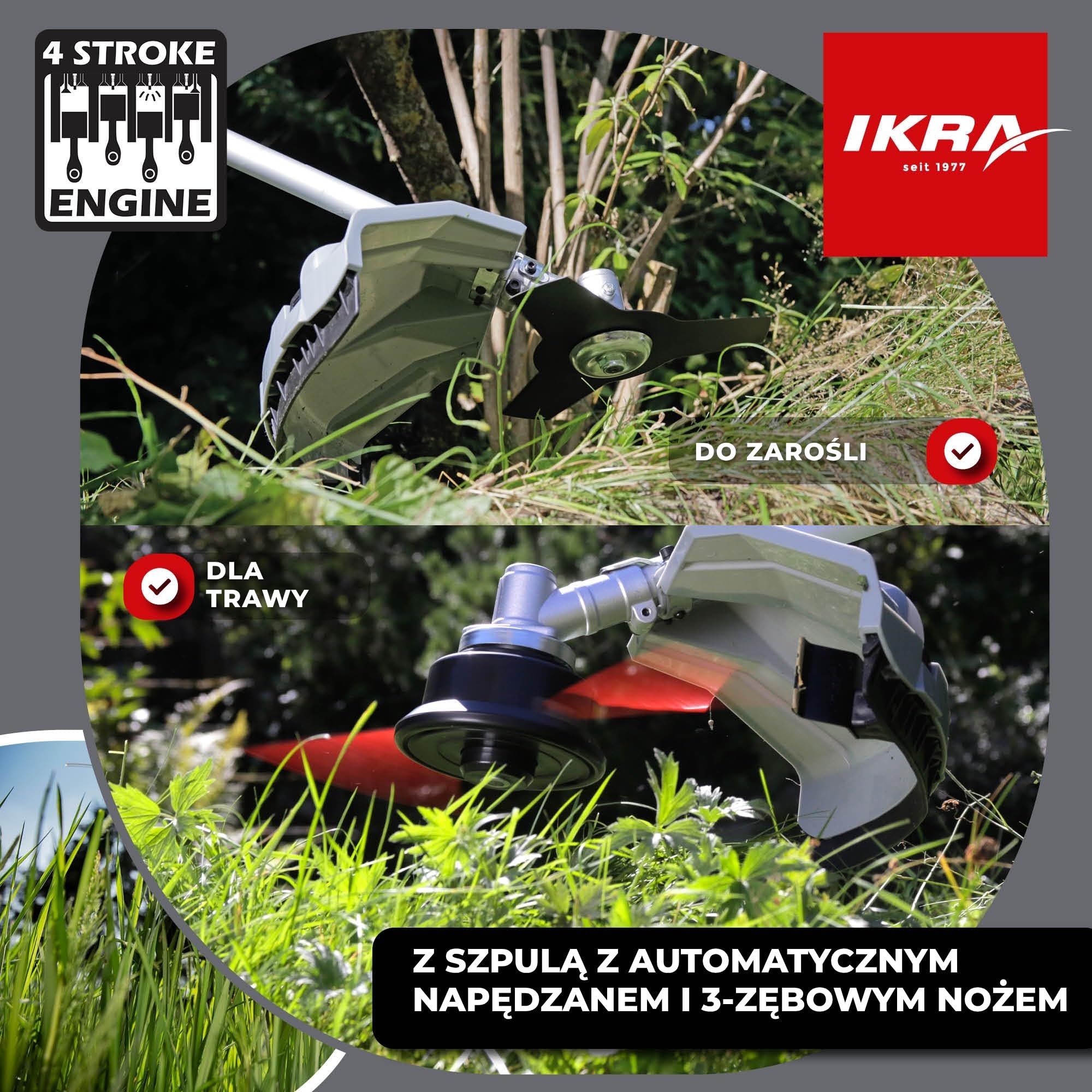 IKRA Podkaszarka spalinowa IBF 31-4 Żyłka, Tarcza, Szelki | 31 cm³ 0,7 kW silnik 4-suwowy z łatwym rozruchem,ochroną przed owijaniem trawy i beznarzędziową wymianą filtra powietrza