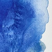 Vista 178 de Winsor & Newton - Pintura para acuarela profesional