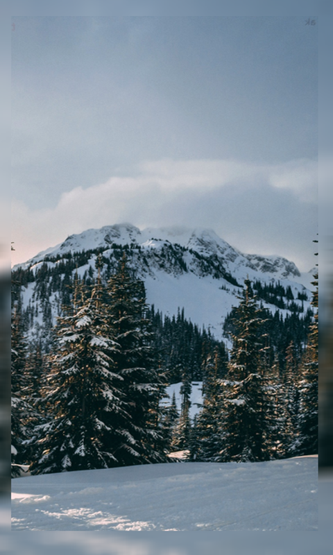 4K Winter Wallpaper HD:Amazon.com:Appstore for Android