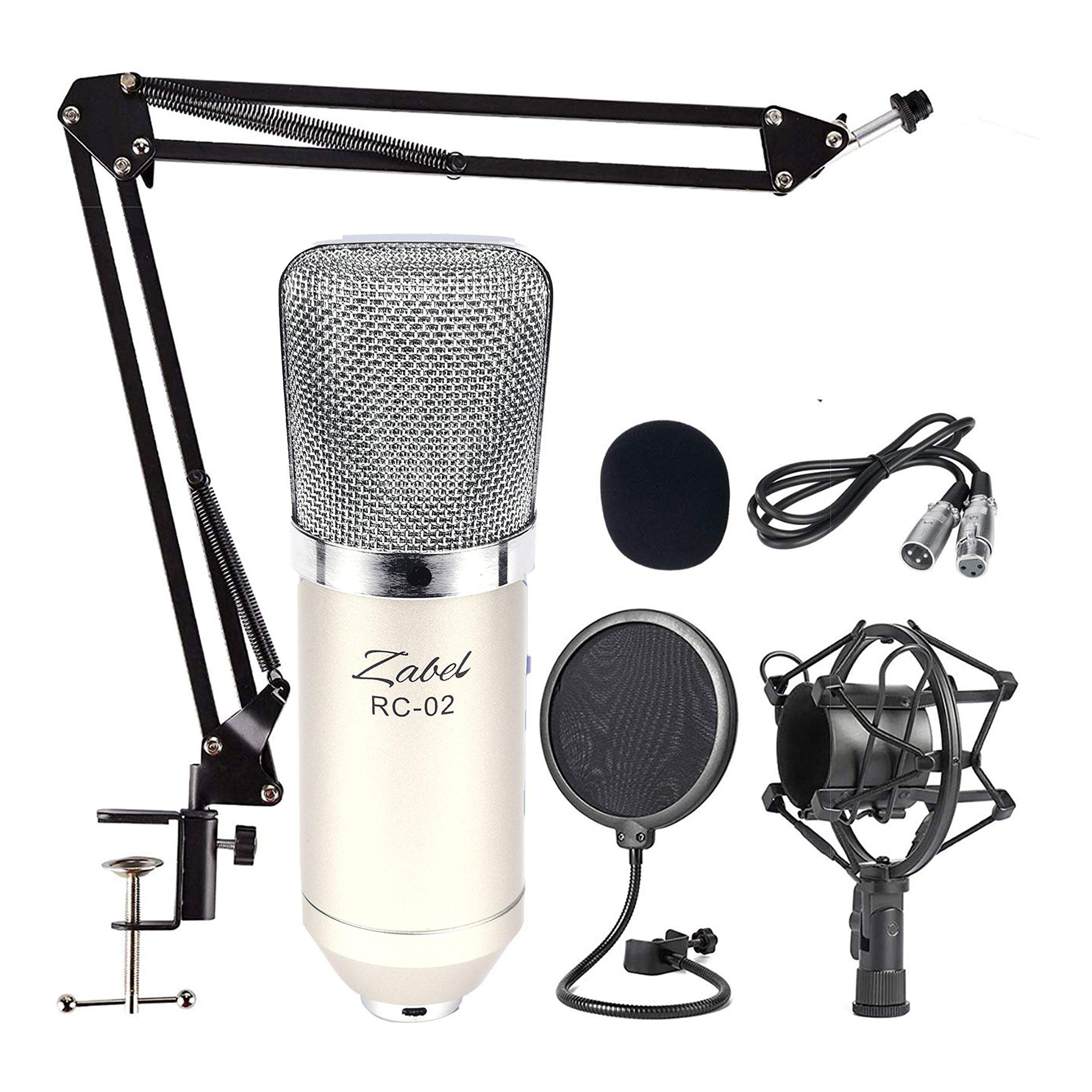 Zabel (BM 800) Condenser Microphone Bundle, RC02 Mic it with