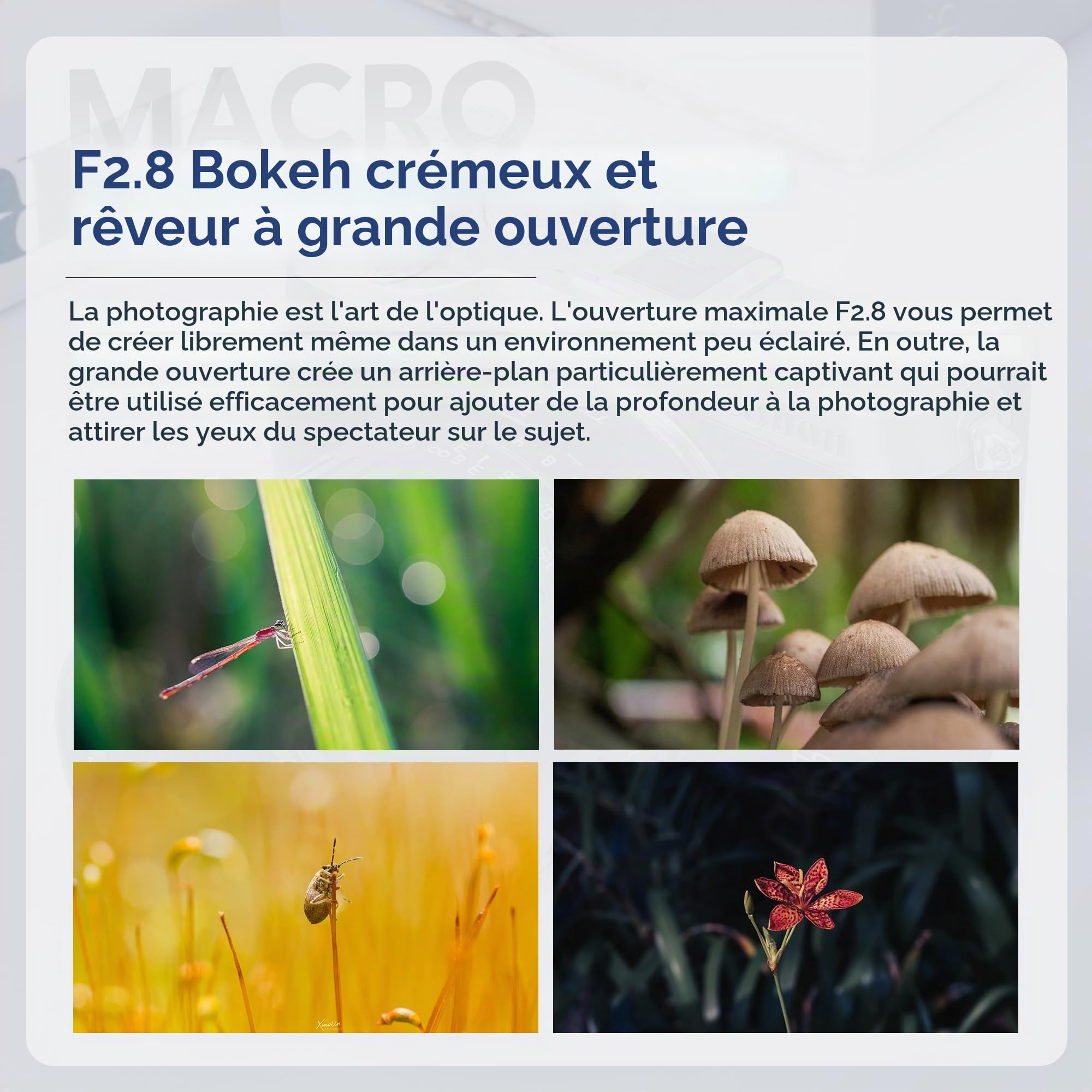 TTArtisan 40mm F2.8 Macro Objectif APS-C Objectif pour Les Portraits de Bijoux, Compatible avec M43